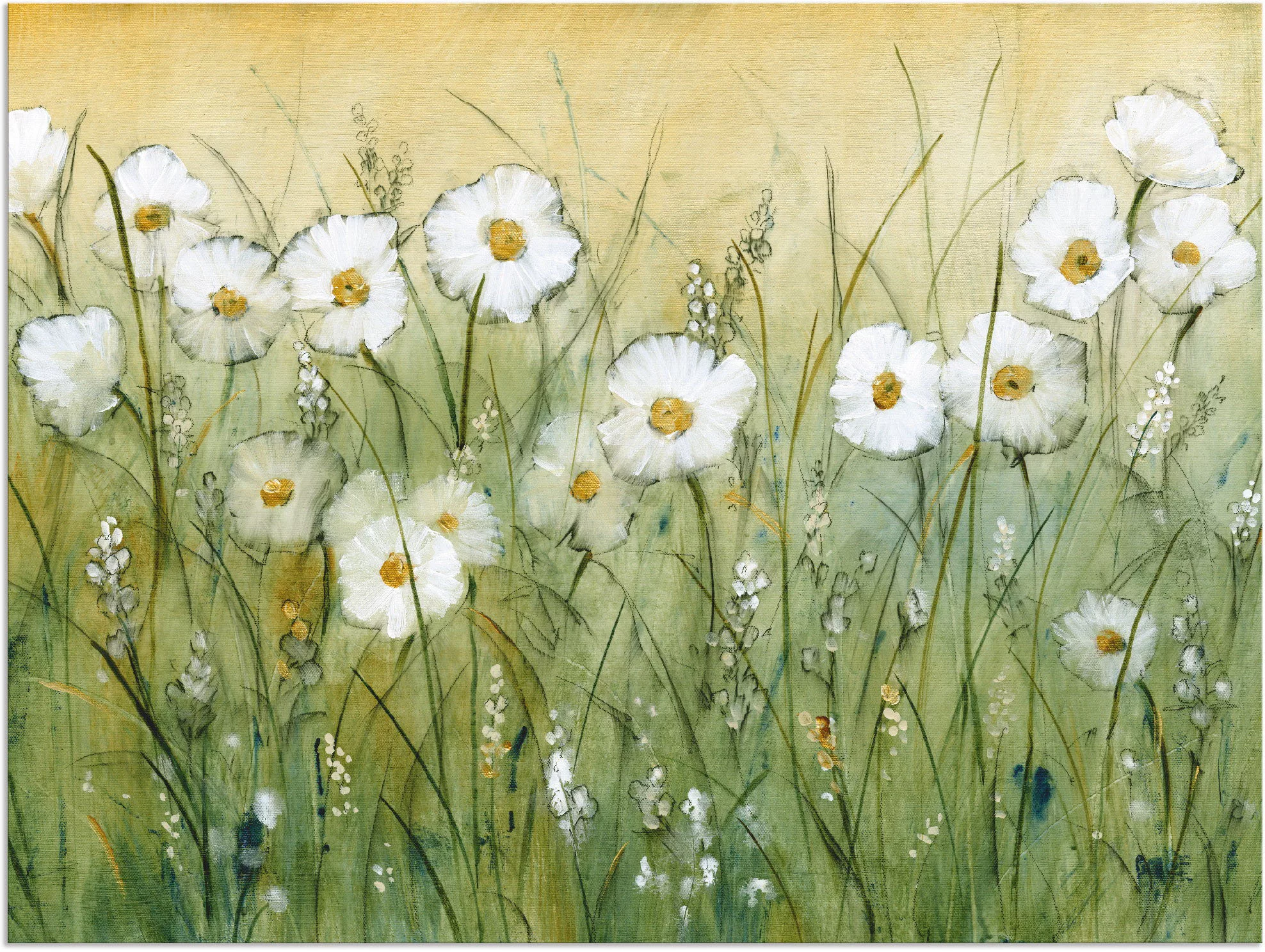 Artland Wandbild "Gänseblümchenfrühling II", Blumen, (1 St.), als Alubild, günstig online kaufen
