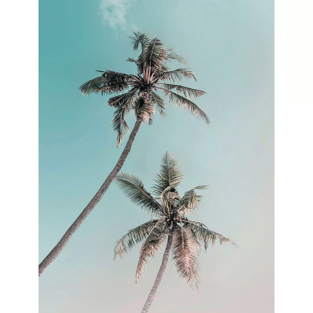 Komar Wandbild Miami Palms Palmen B/L: ca. 30x40 cm günstig online kaufen