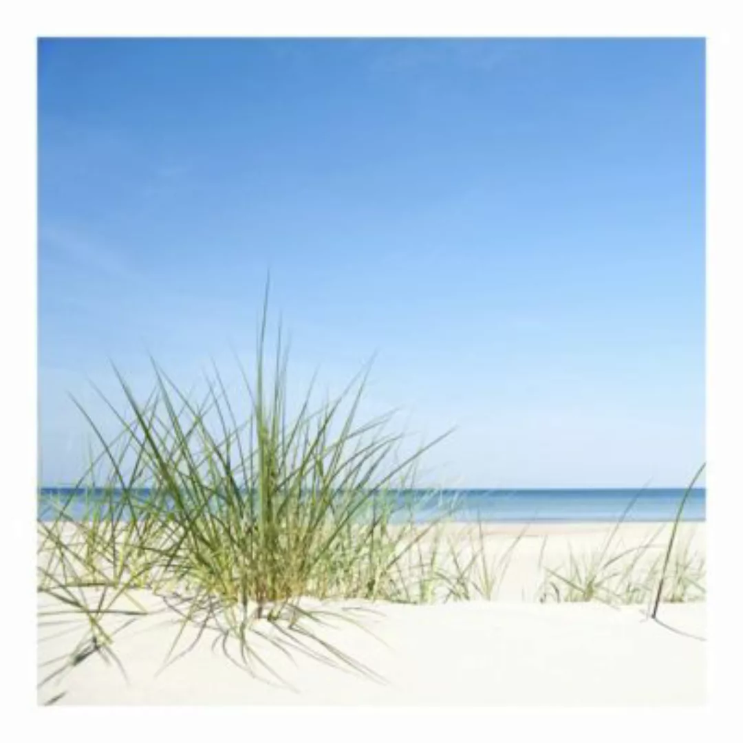 Bilderwelten Fototapete Strand Ostseeküste blau Gr. 192 x 192 günstig online kaufen