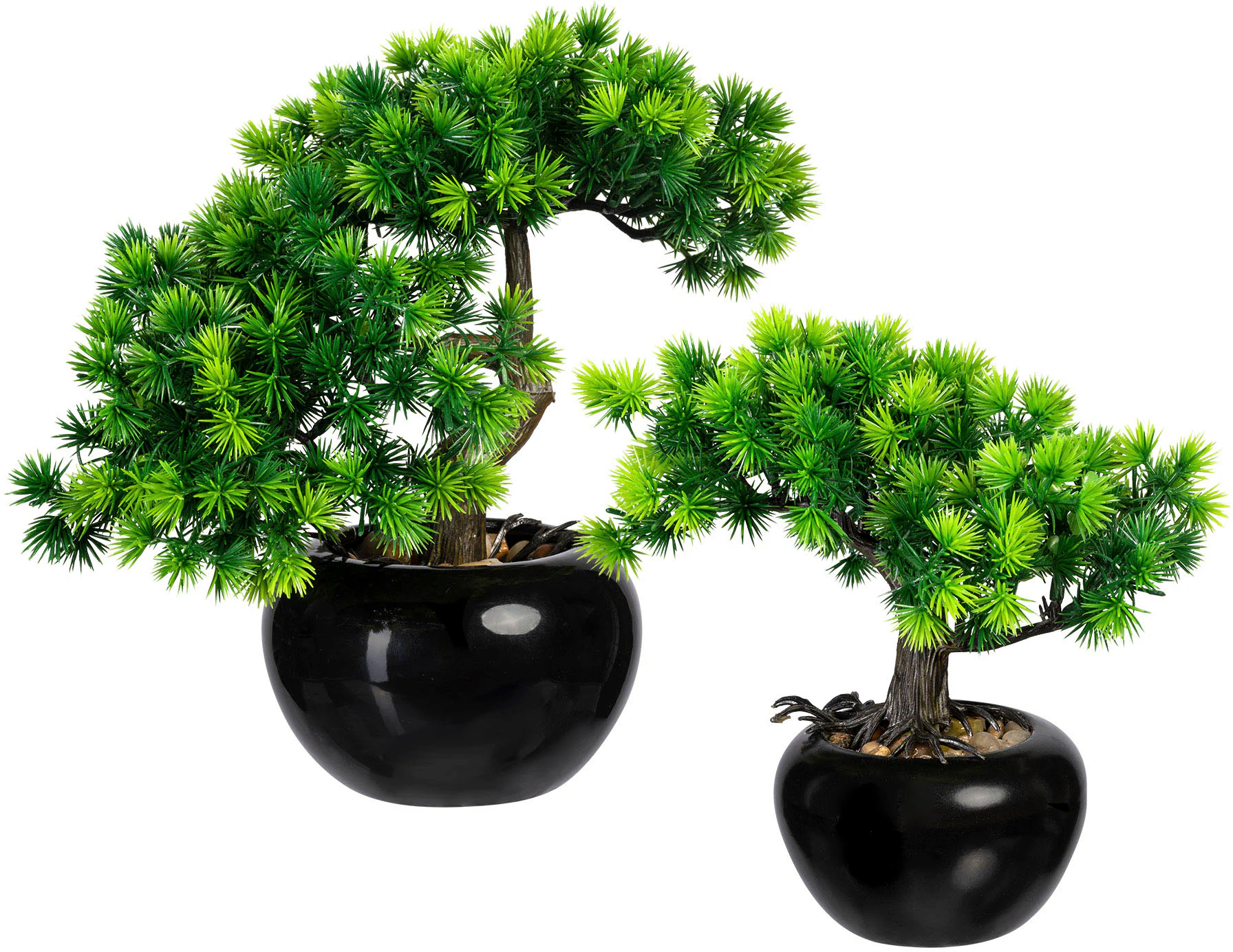 Creativ green Kunstbonsai "Bonsai Lärche", im Keramiktopf, 2er Set günstig online kaufen