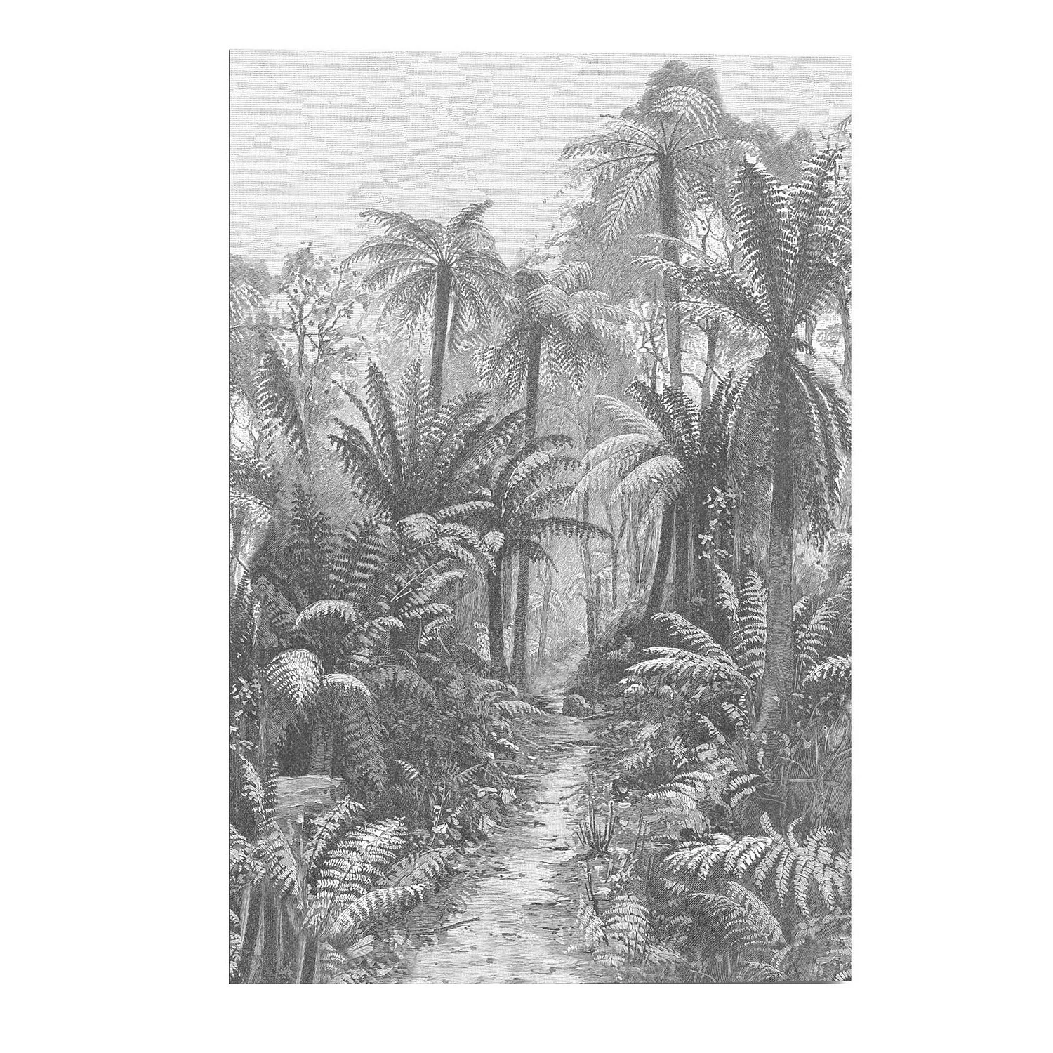home24 Wandbild Palmen Gravur Regenwald günstig online kaufen