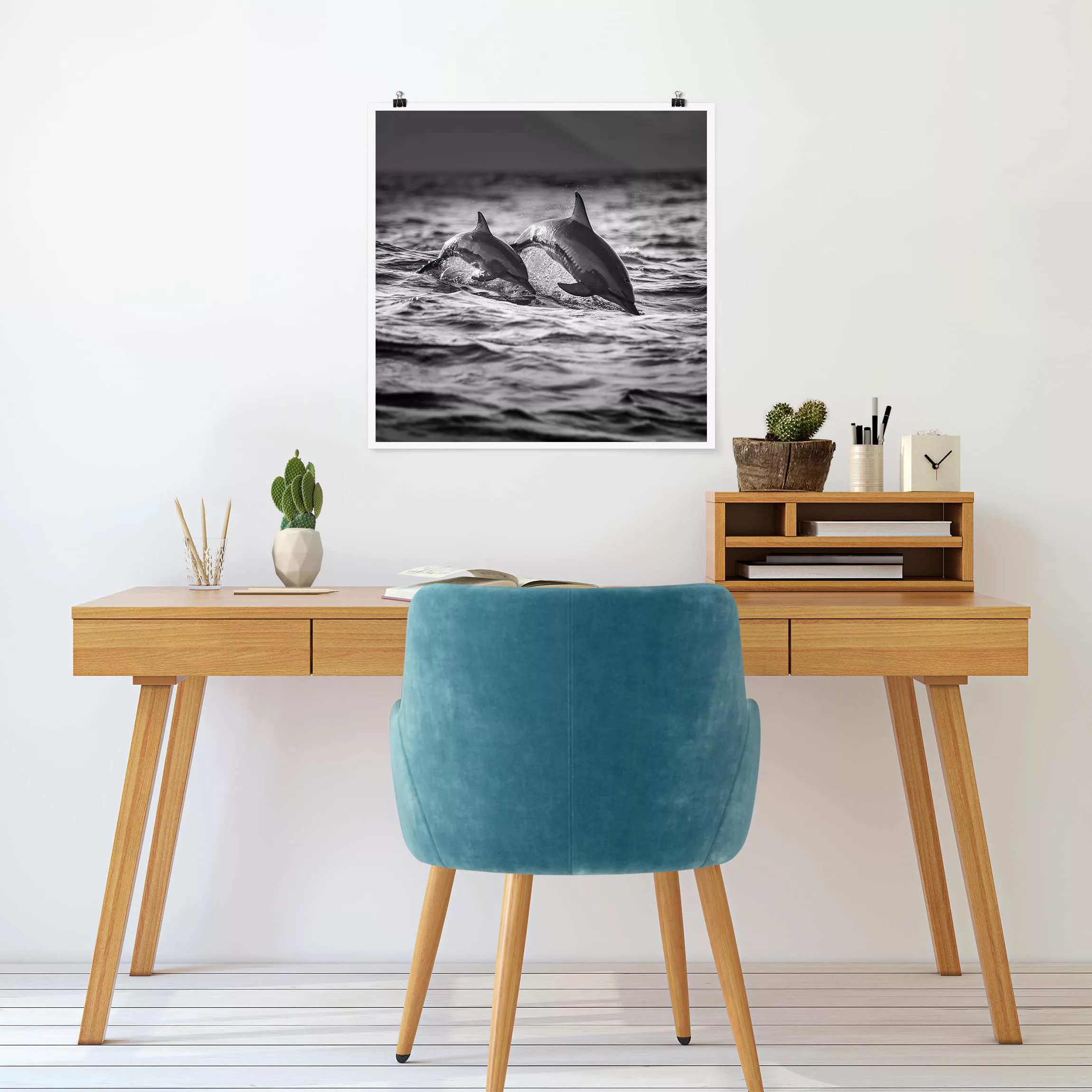 Poster Tiere - Quadrat Zwei springende Delfine günstig online kaufen