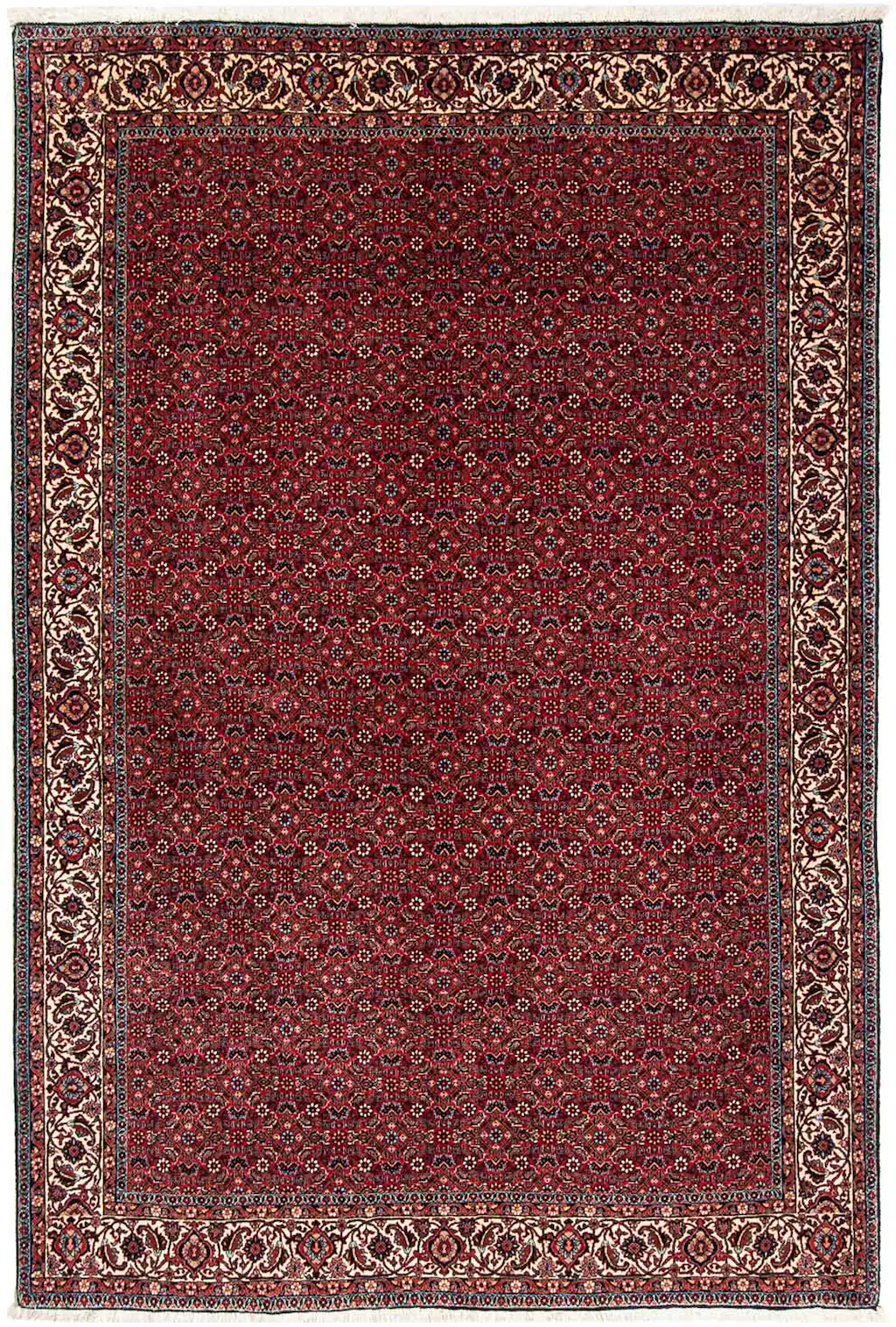 morgenland Orientteppich »Perser - Bidjar - 243 x 172 cm - dunkelrot«, rech günstig online kaufen