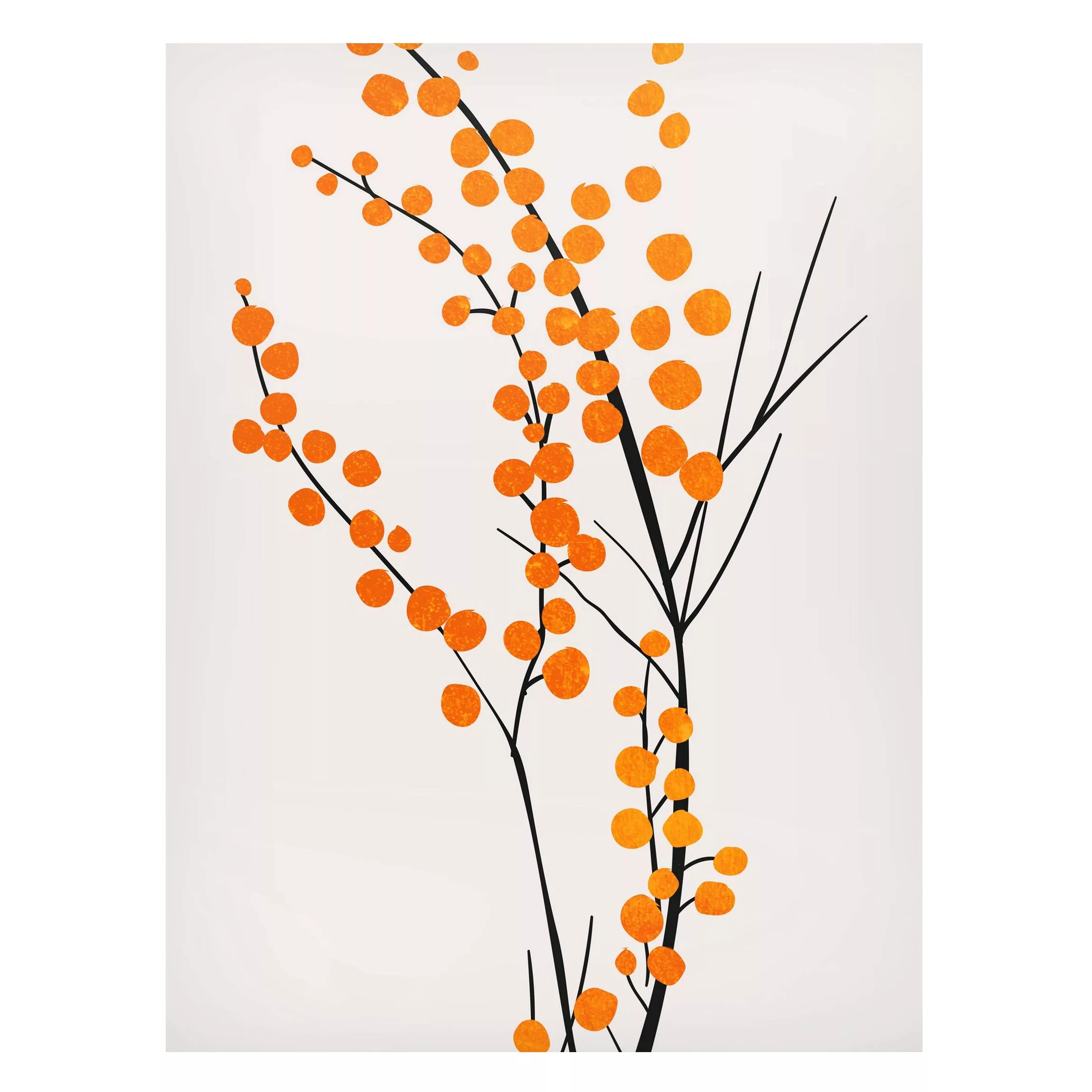 Magnettafel Grafische Pflanzenwelt - Beeren Orange günstig online kaufen