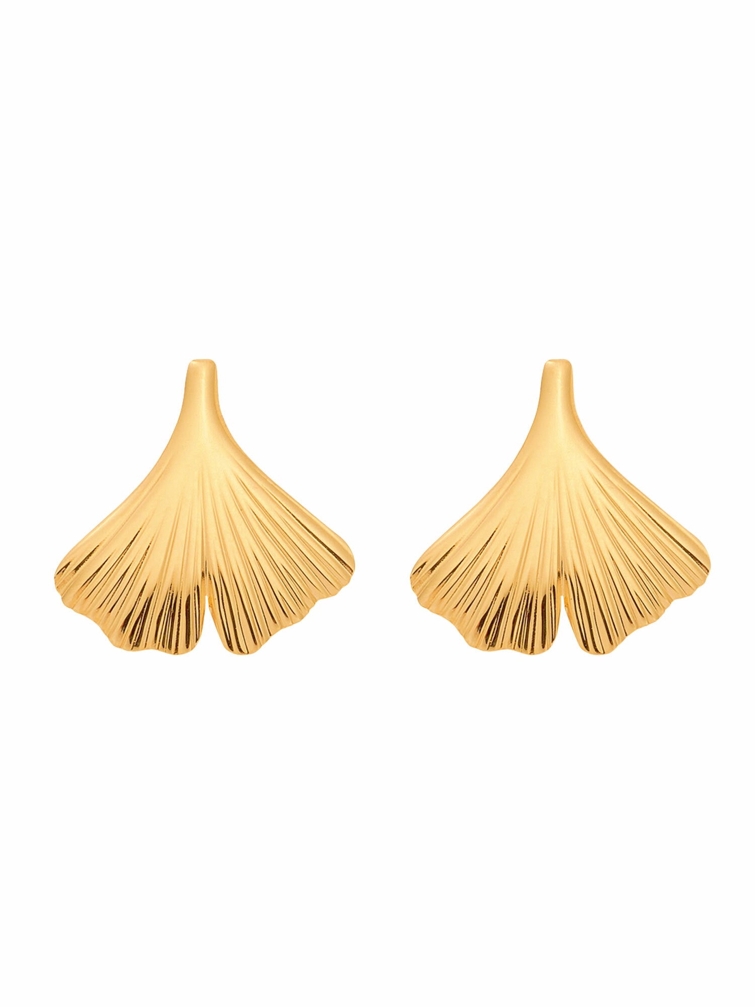 Adelia´s Paar Ohrhänger "1 Paar 375 Gold Ohrringe / Ohrstecker Ginkoblatt", günstig online kaufen