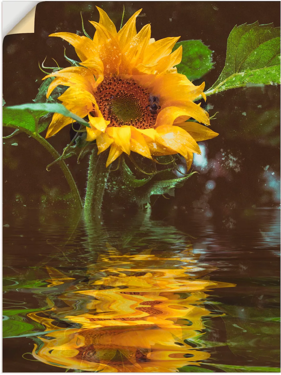 Artland Wandbild "Sonnenblume", Blumen, (1 St.), als Alubild, Outdoorbild, günstig online kaufen