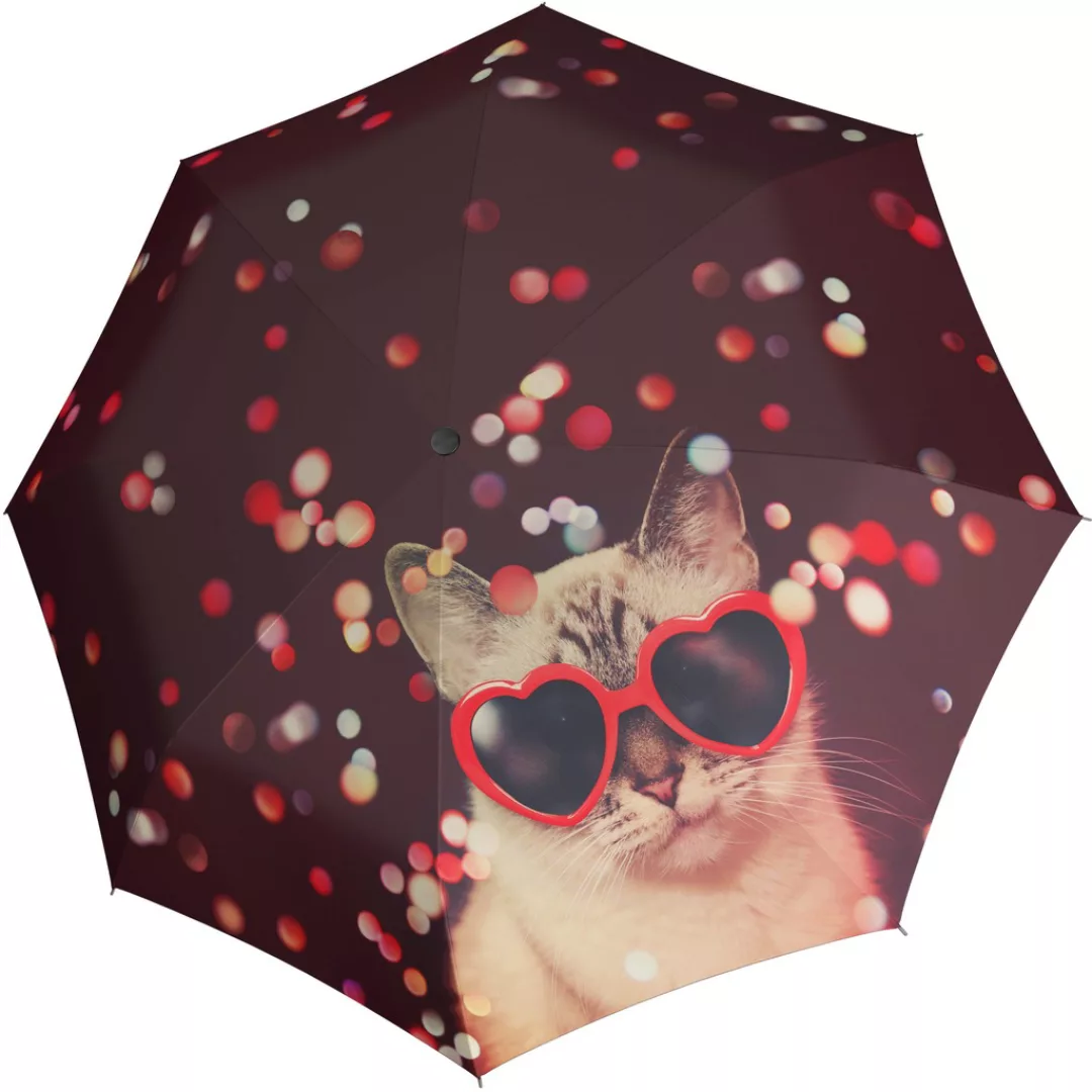 doppler Stockregenschirm "Modern Art Lang Automatik, Lovely Cat" günstig online kaufen