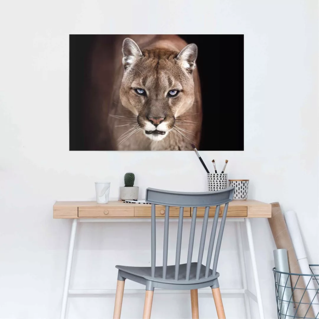 Reinders Poster "Puma Nahaufnahme", (1 St.) günstig online kaufen