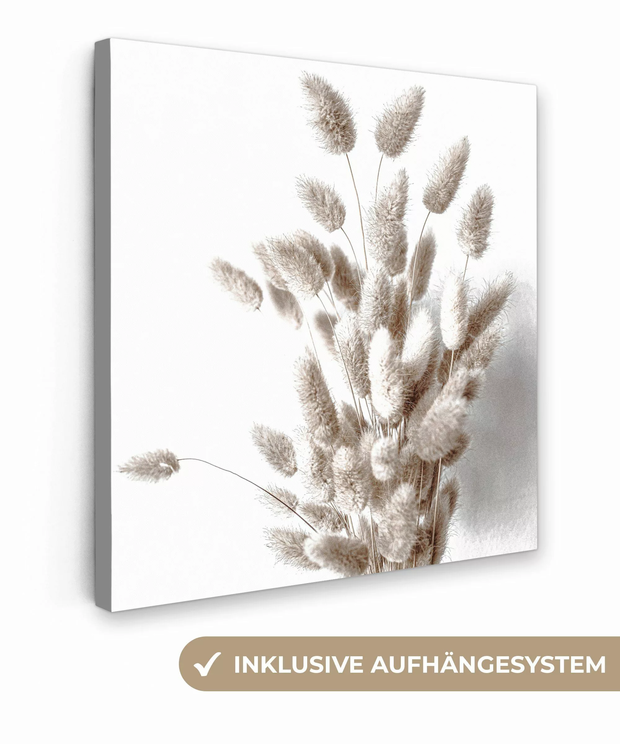 OneMillionCanvasses® Leinwandbild Pflanzen - Federn - günstig online kaufen