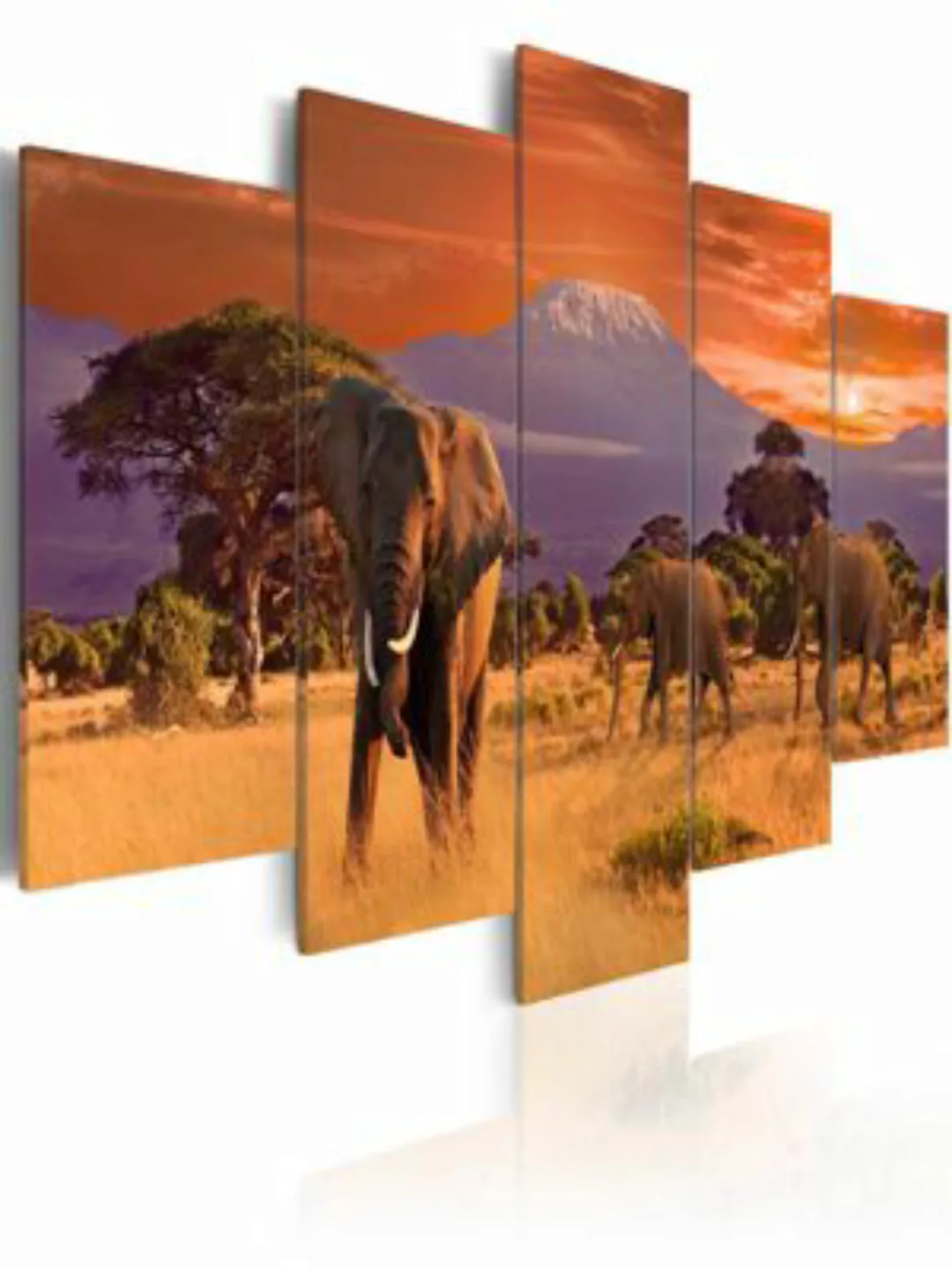 artgeist Wandbild Africa: Elephants rot Gr. 200 x 100 günstig online kaufen