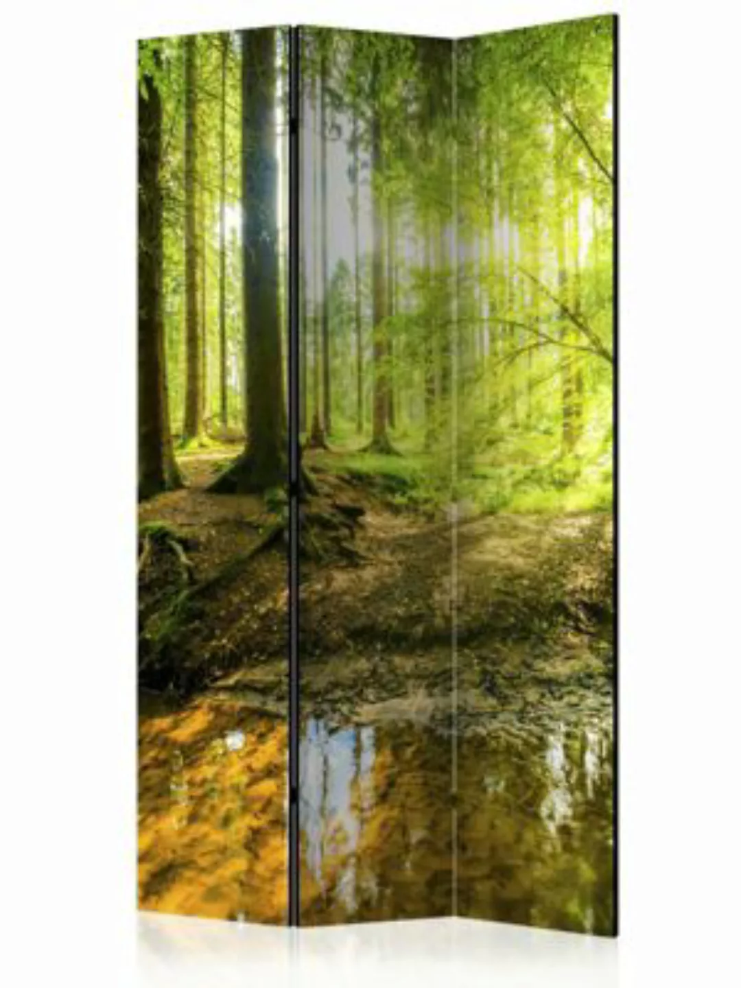 artgeist Paravent Forest Lake [Room Dividers] braun-kombi Gr. 135 x 172 günstig online kaufen