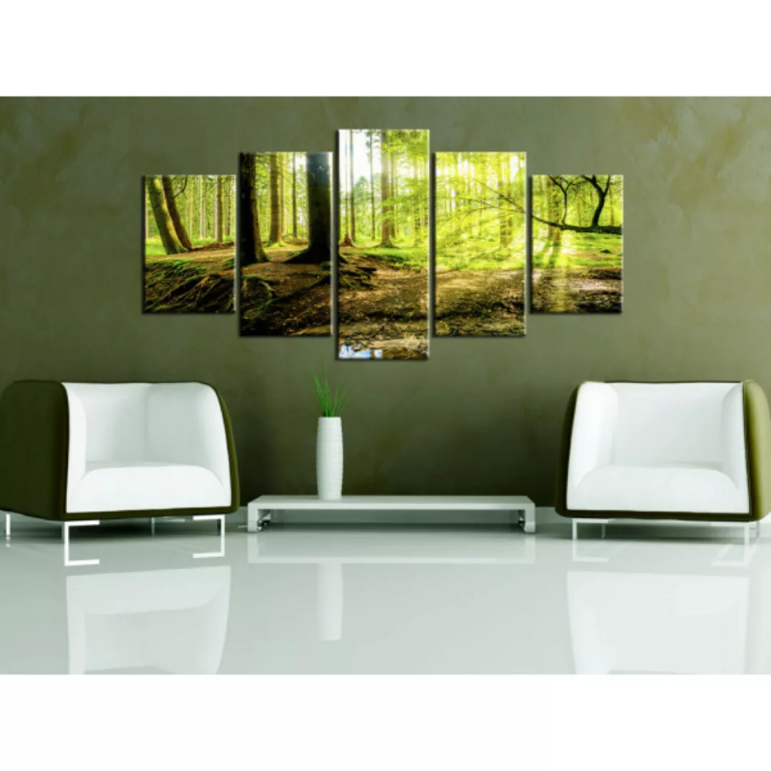 Leinwandbild Poetry of a Forest XXL günstig online kaufen