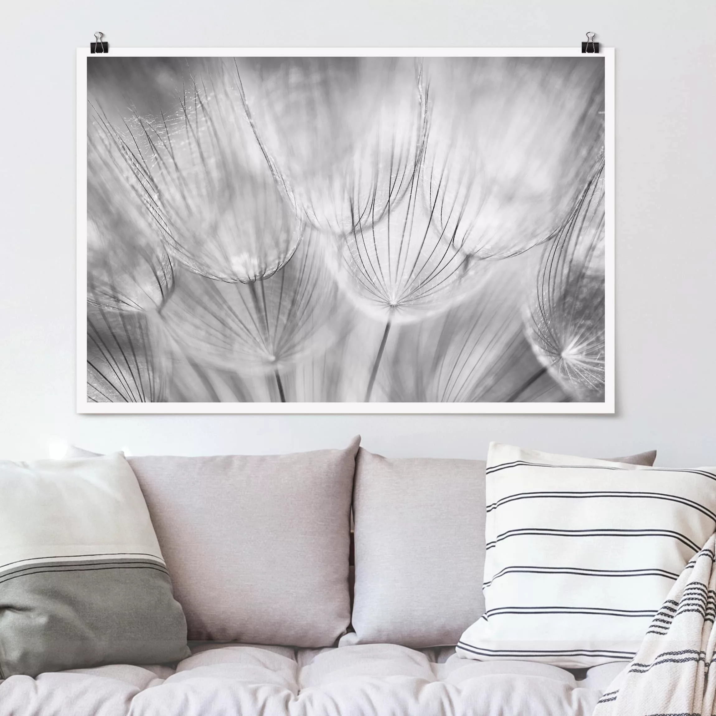 Poster Blumen - Querformat Pusteblumen Makroaufnahme in schwarz weiß günstig online kaufen