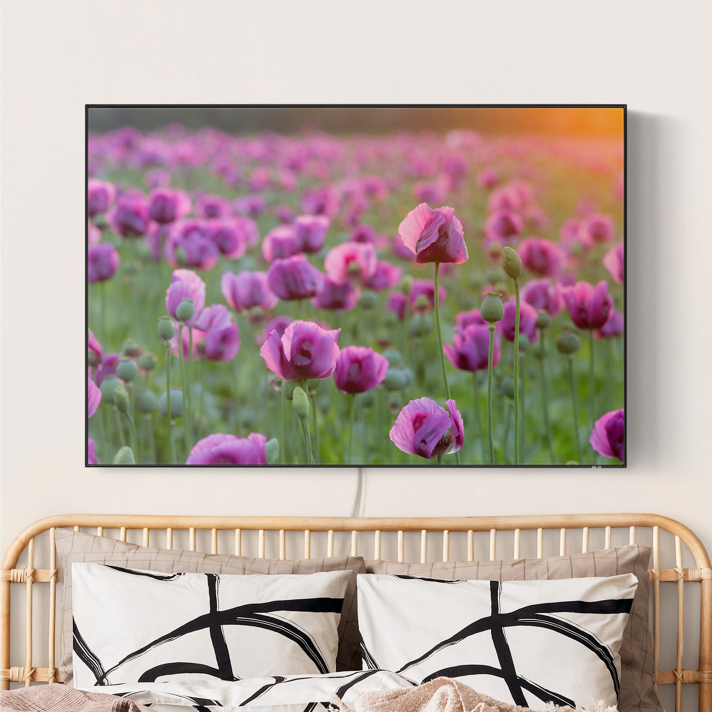 LED-Wechselbild Violette Schlafmohn Blumenwiese im Frühling günstig online kaufen