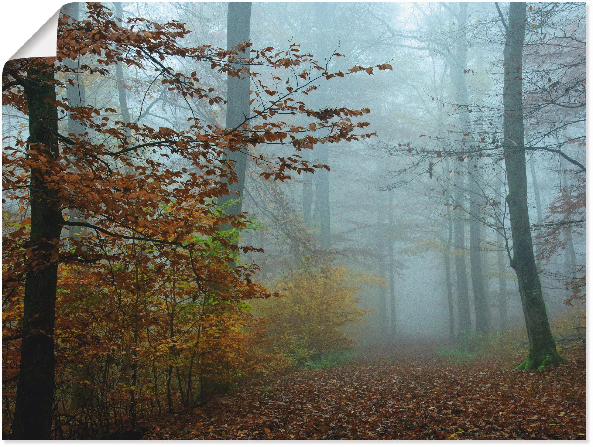 Artland Wandbild "Nebel im Herbstwald", Wald, (1 St.), als Leinwandbild, Po günstig online kaufen