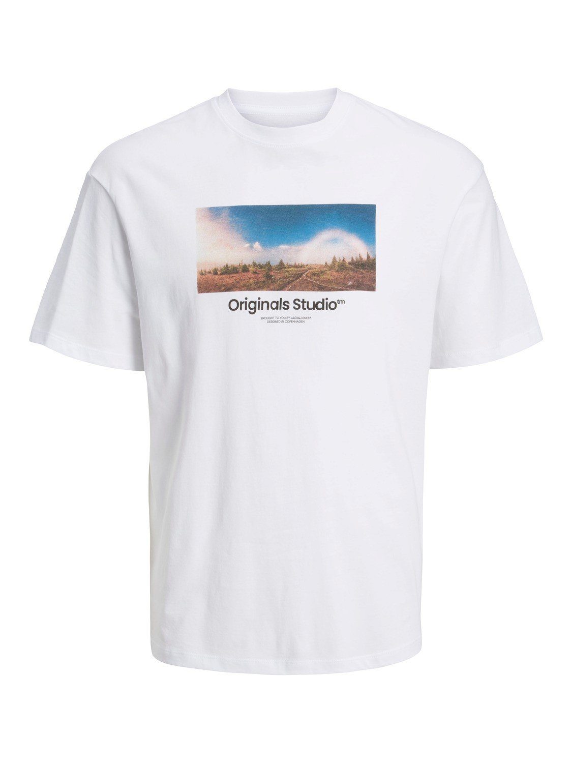 Jack & Jones Herren Rundhals T-Shirt JORVESTERBRO - Regular Fit günstig online kaufen
