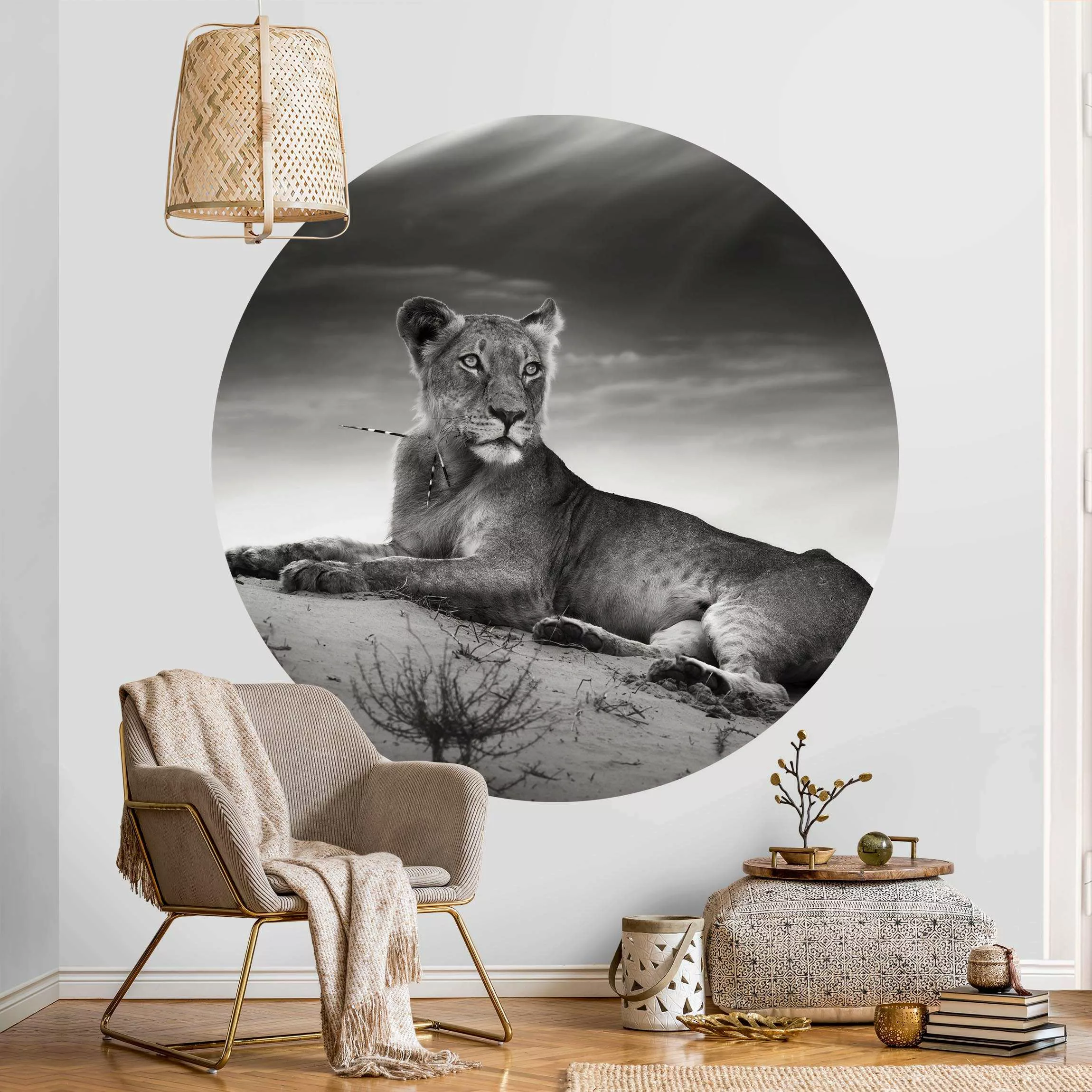 Runde Fototapete selbstklebend Resting Lion günstig online kaufen