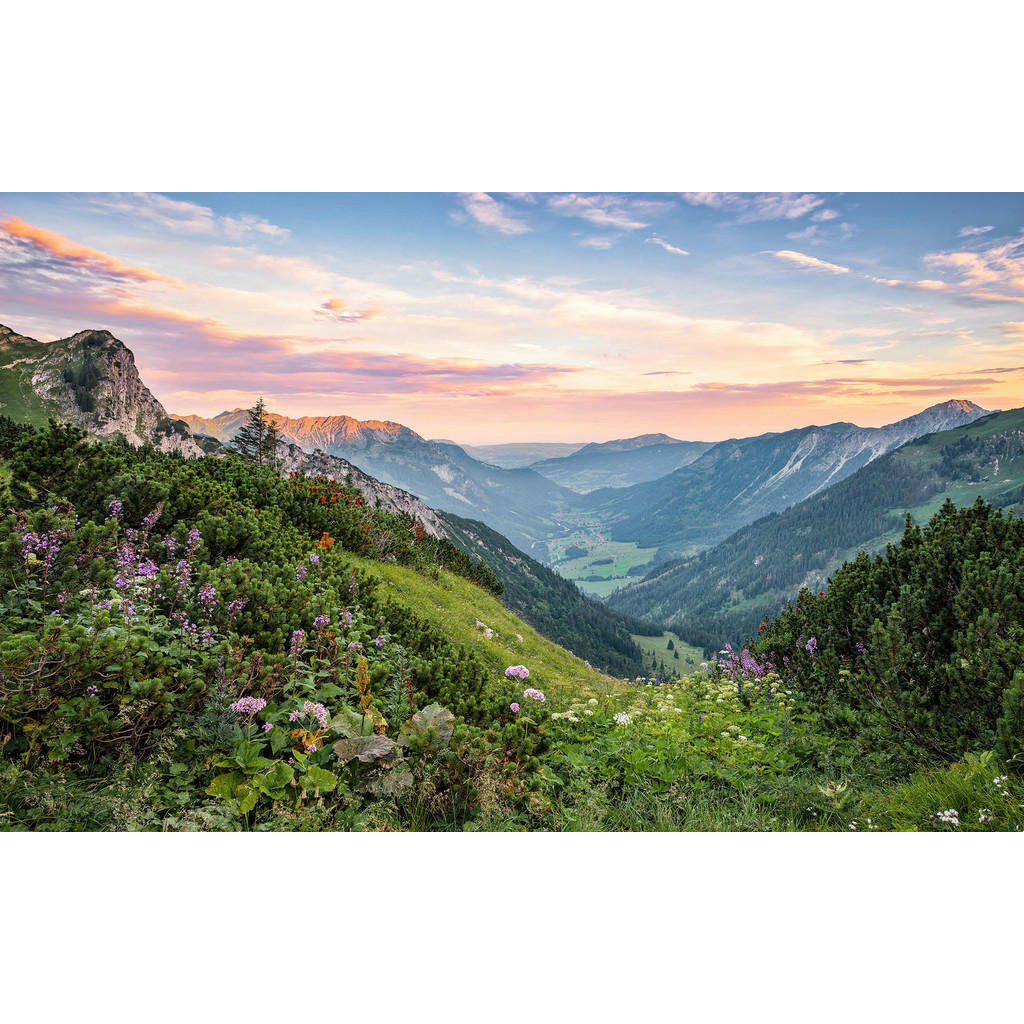 Komar Vliestapete »Digitaldruck Vlies - Alps - Größe 400 x 250 cm«, bedruck günstig online kaufen