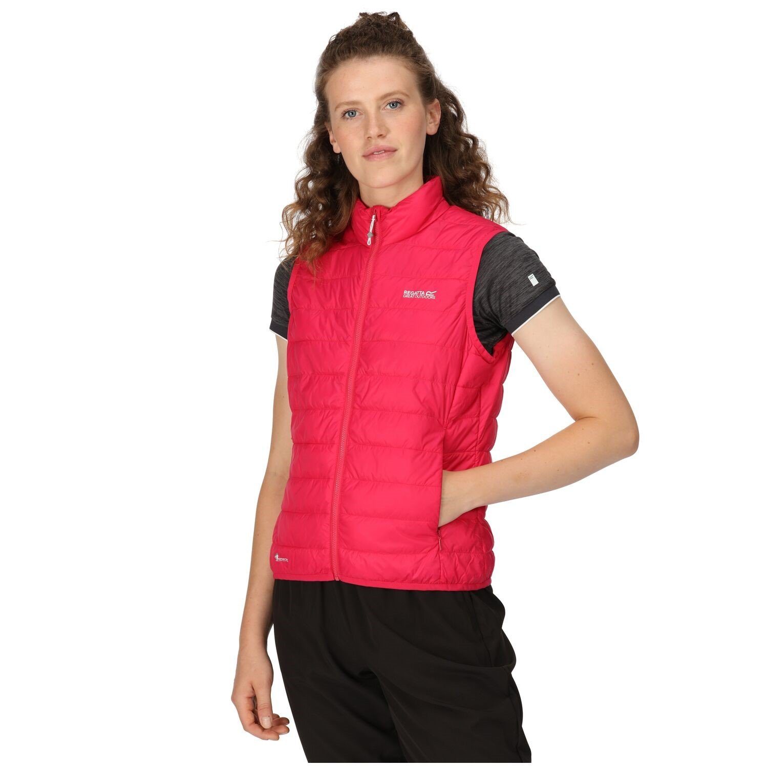 Regatta Softshellweste Steppweste Hillpack günstig online kaufen