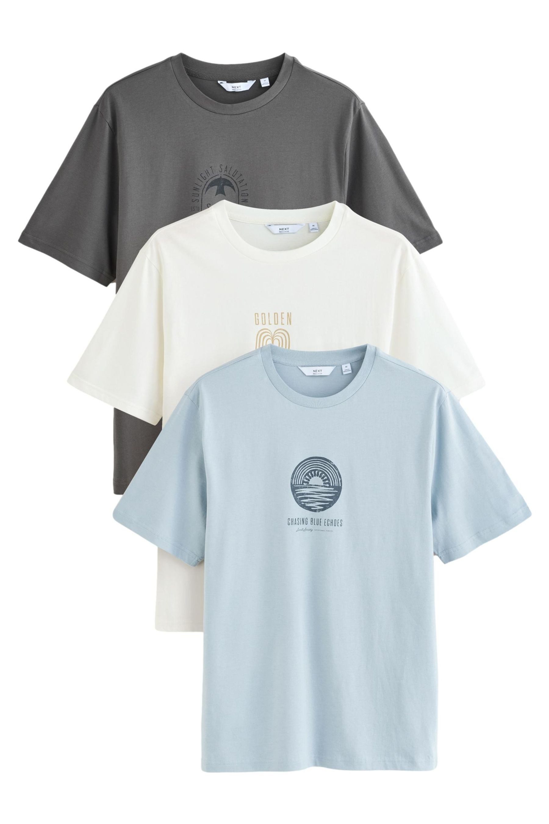 Next T-Shirt Regular Fit Grafik-T-Shirts aus günstig online kaufen