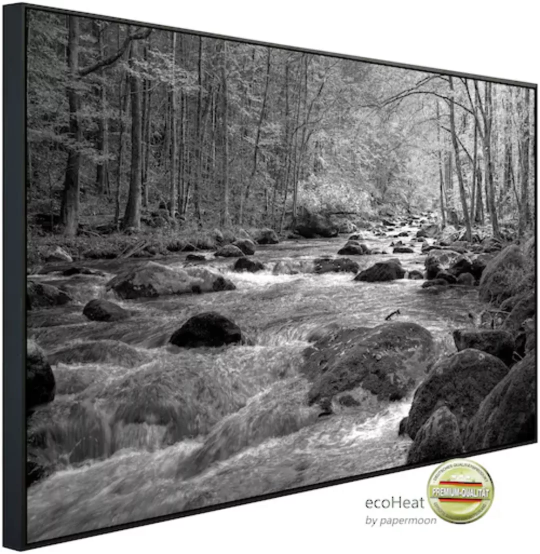 Papermoon Infrarotheizung »Fluss im Wald Schwarz & Weiß« günstig online kaufen