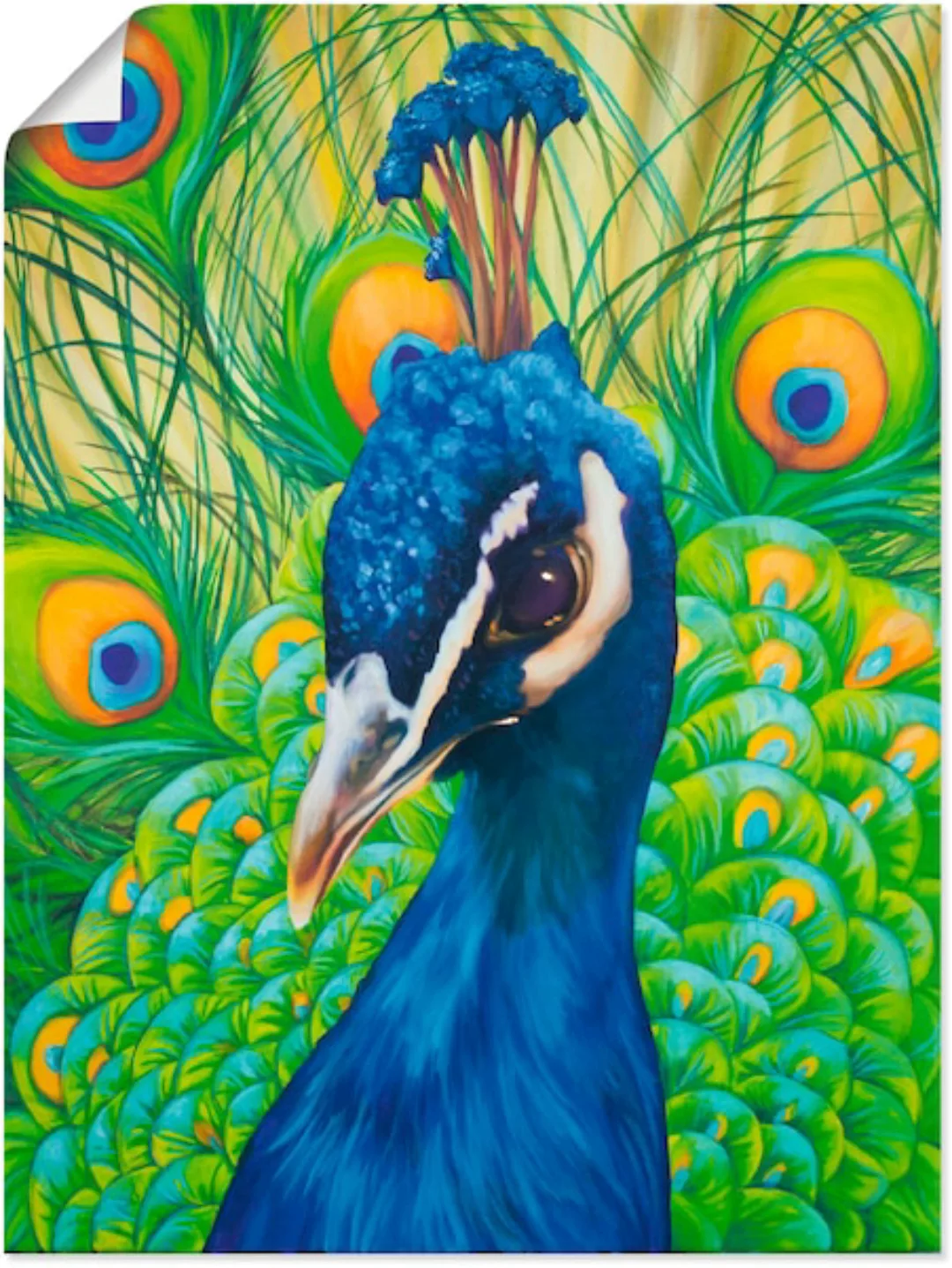 Artland Wandbild »Pfau«, Vögel, (1 St.), als Leinwandbild, Poster in versch günstig online kaufen