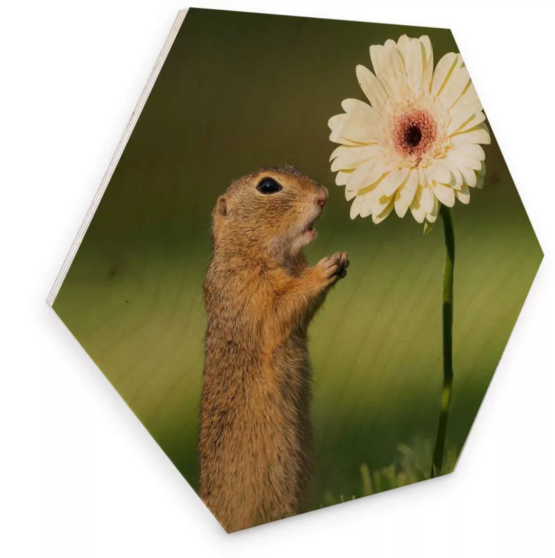Wall-Art Holzbild »Eichhörnchen Holzbild Blumen«, (1 St.) günstig online kaufen