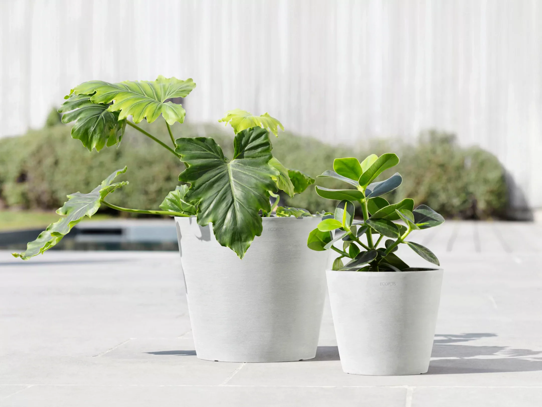 ECOPOTS Blumentopf "Amsterdam 20 Weiß", für innen und außen: frostsicher, b günstig online kaufen