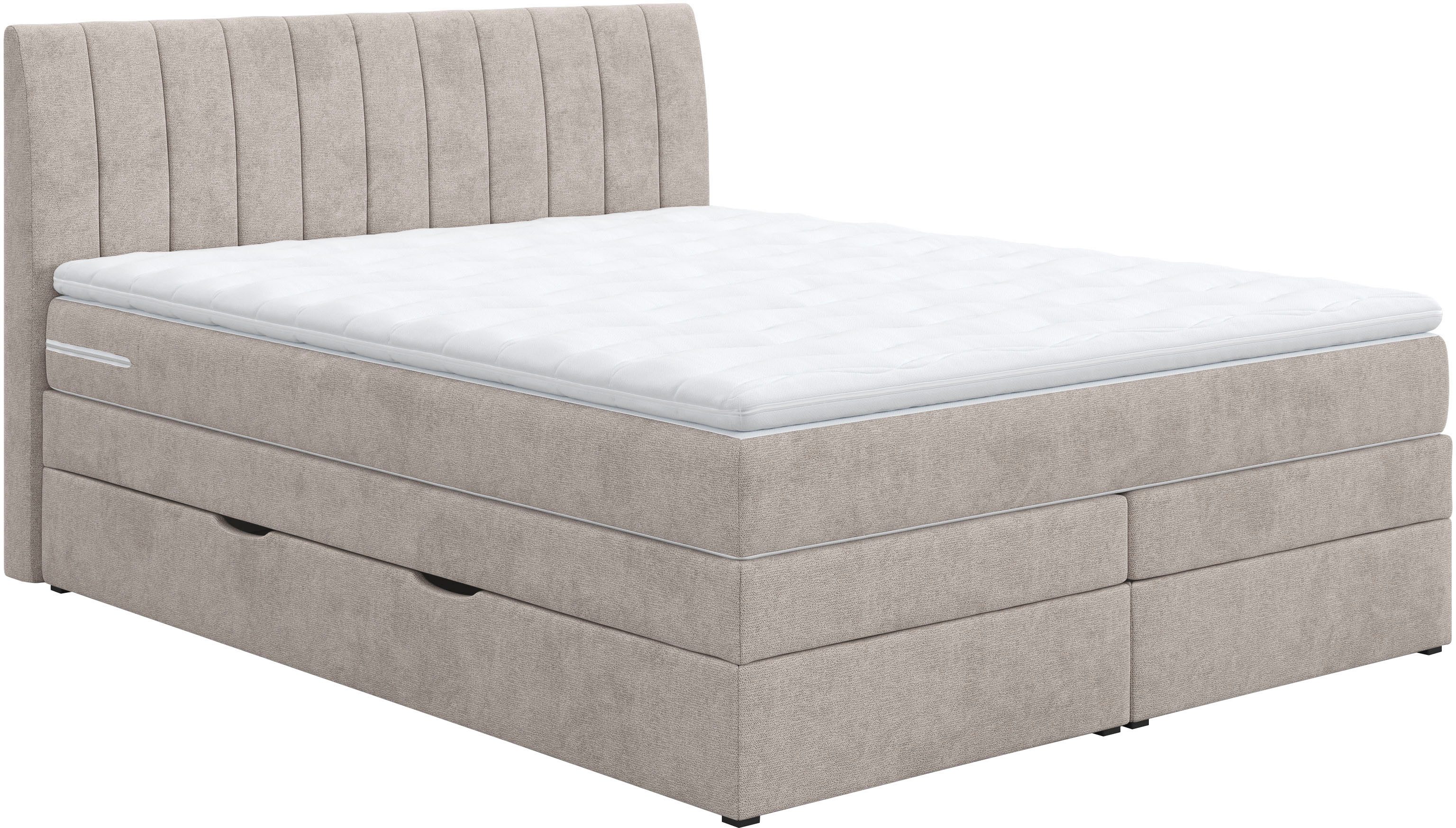 COTTA Boxspringbett "Shark inkl. Bettkasten und Topper", erhältlich in den günstig online kaufen