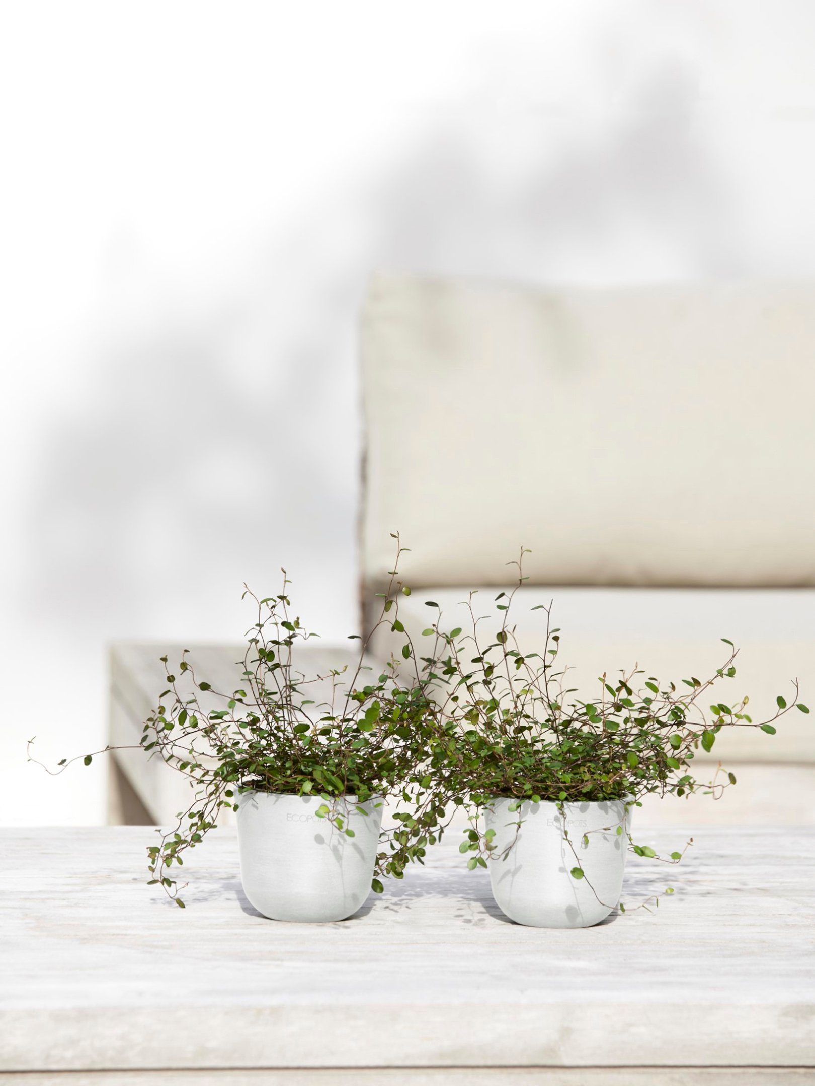ECOPOTS Blumentopf Oslo Mini 11,5 Weiß, günstig online kaufen