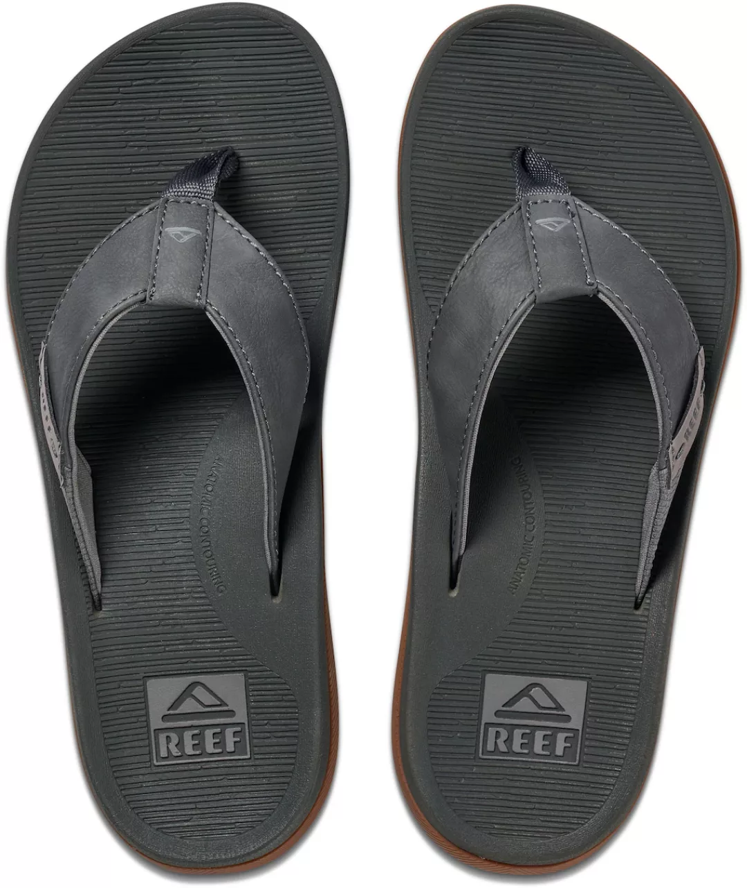 Reef Zehentrenner "REEF SANTA ANA" günstig online kaufen