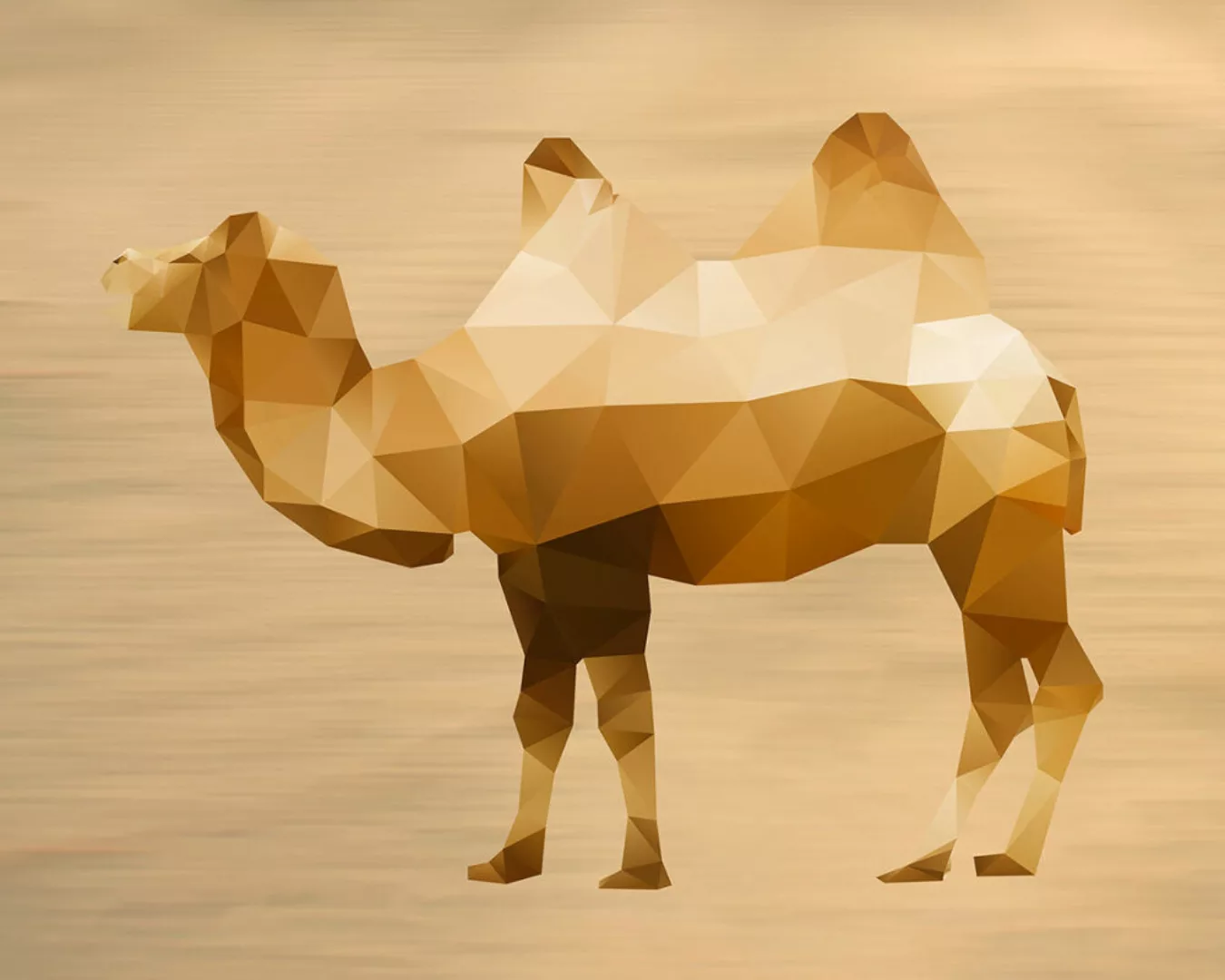 Fototapete "Camel on Sand" 4,00x2,70 m / Glattvlies Brillant günstig online kaufen