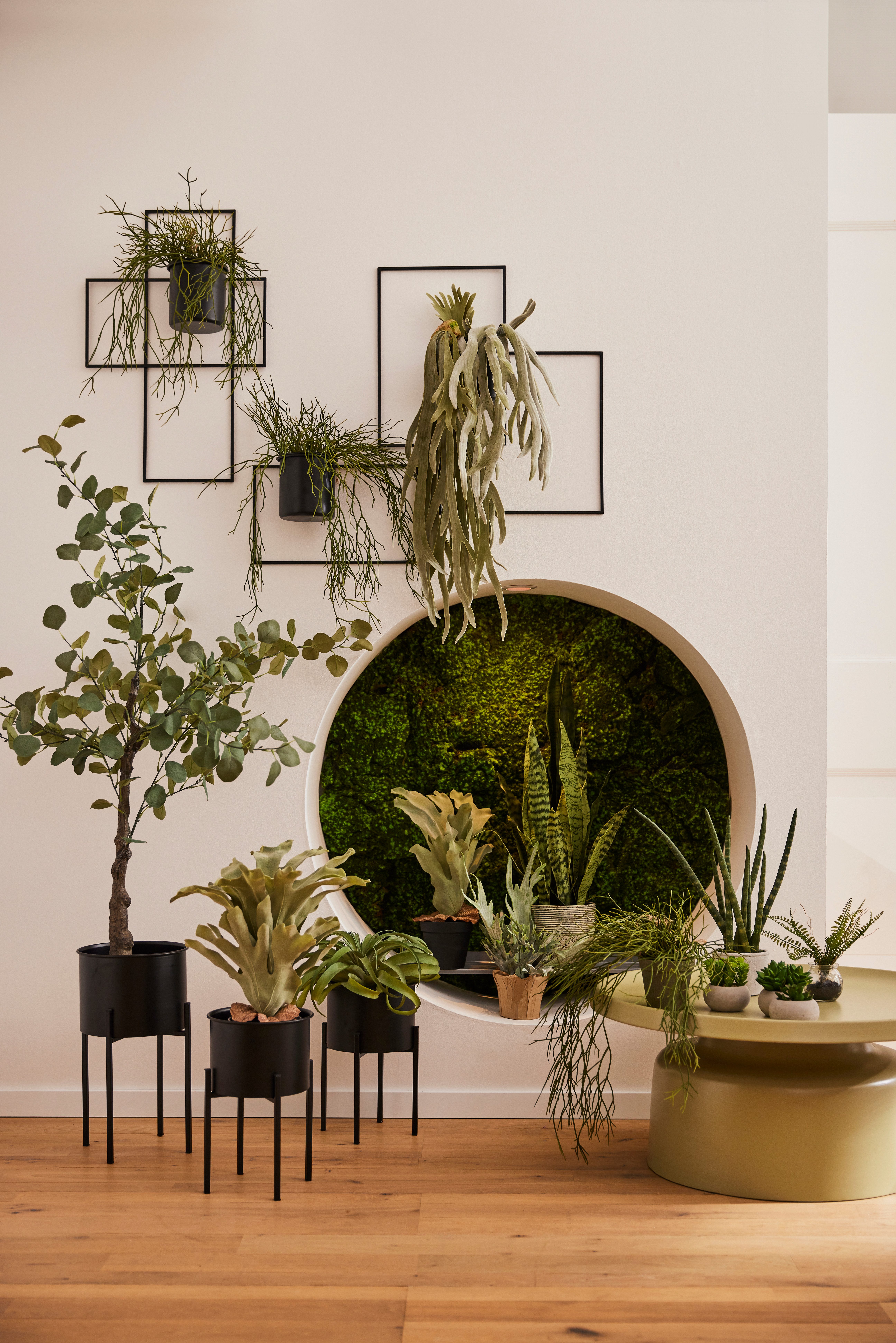 Kunstpflanze Tillandsie, Creativ green, Höhe 35 günstig online kaufen