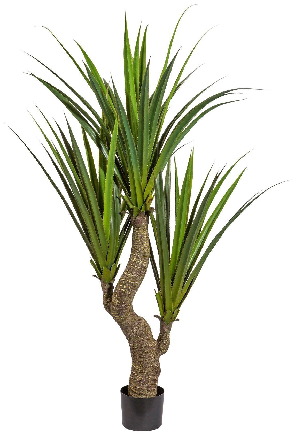 Kunstpflanze Agave, Creativ green, Höhe 160 günstig online kaufen