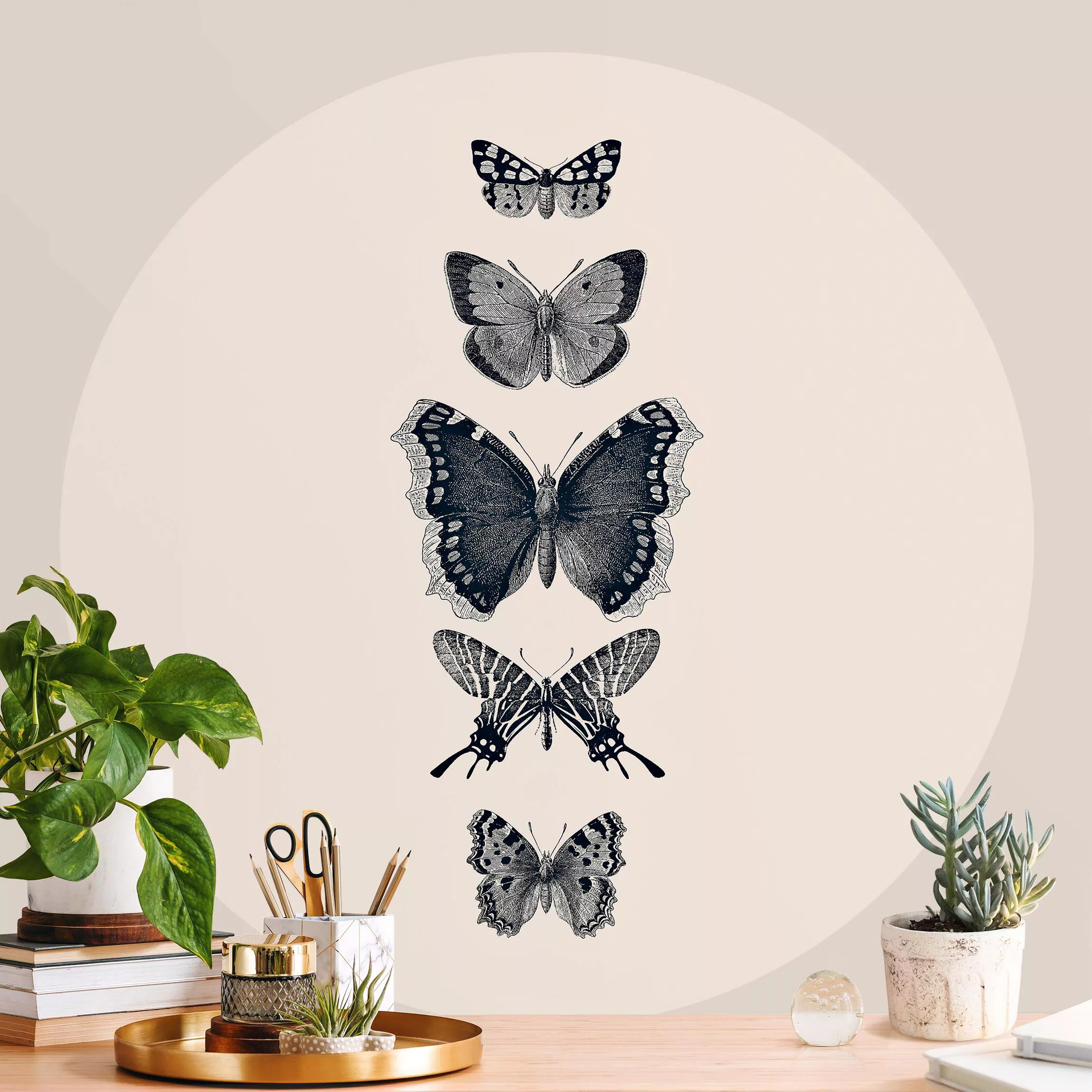 Runde Fototapete selbstklebend Tusche Schmetterlinge auf Beige günstig online kaufen