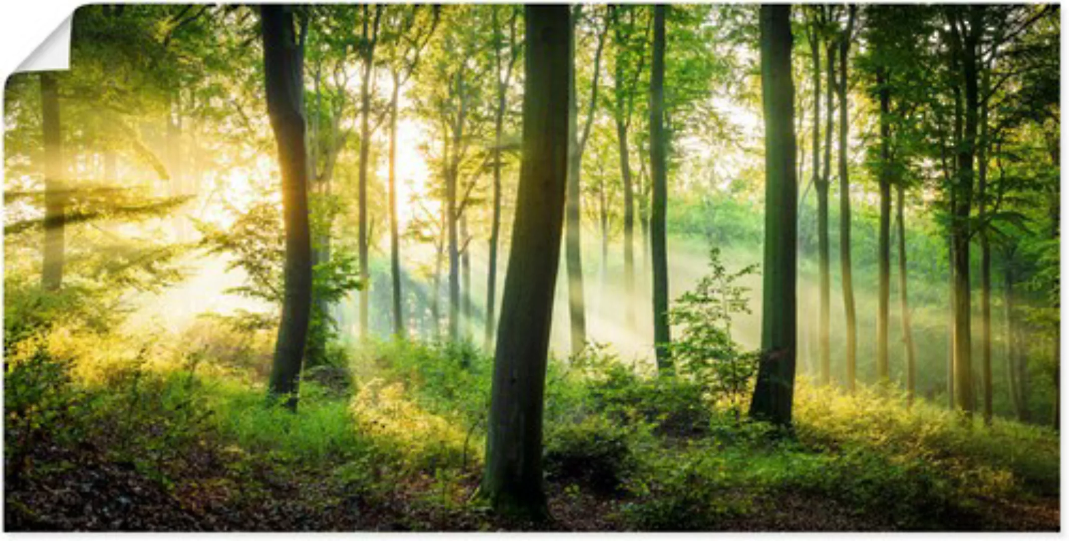Artland Wandbild "Herbst im Wald II", Waldbilder, (1 St.) günstig online kaufen