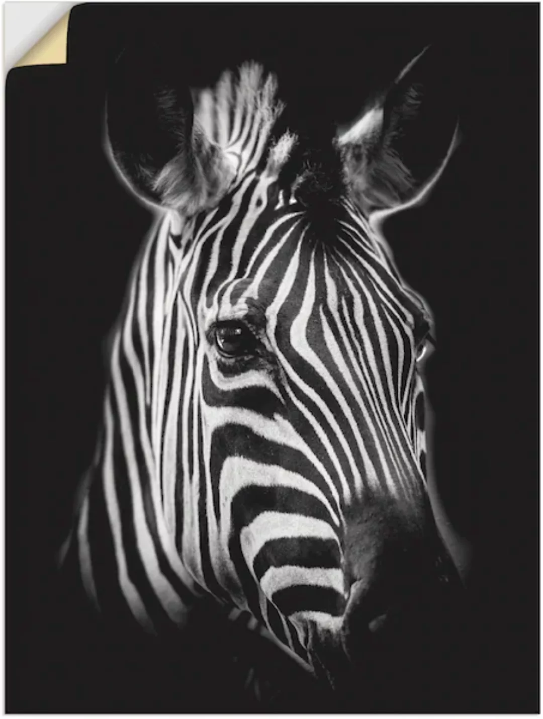 Artland Wandbild "Zebra", Zebra Bilder, (1 St.), als Alubild, Outdoorbild, günstig online kaufen