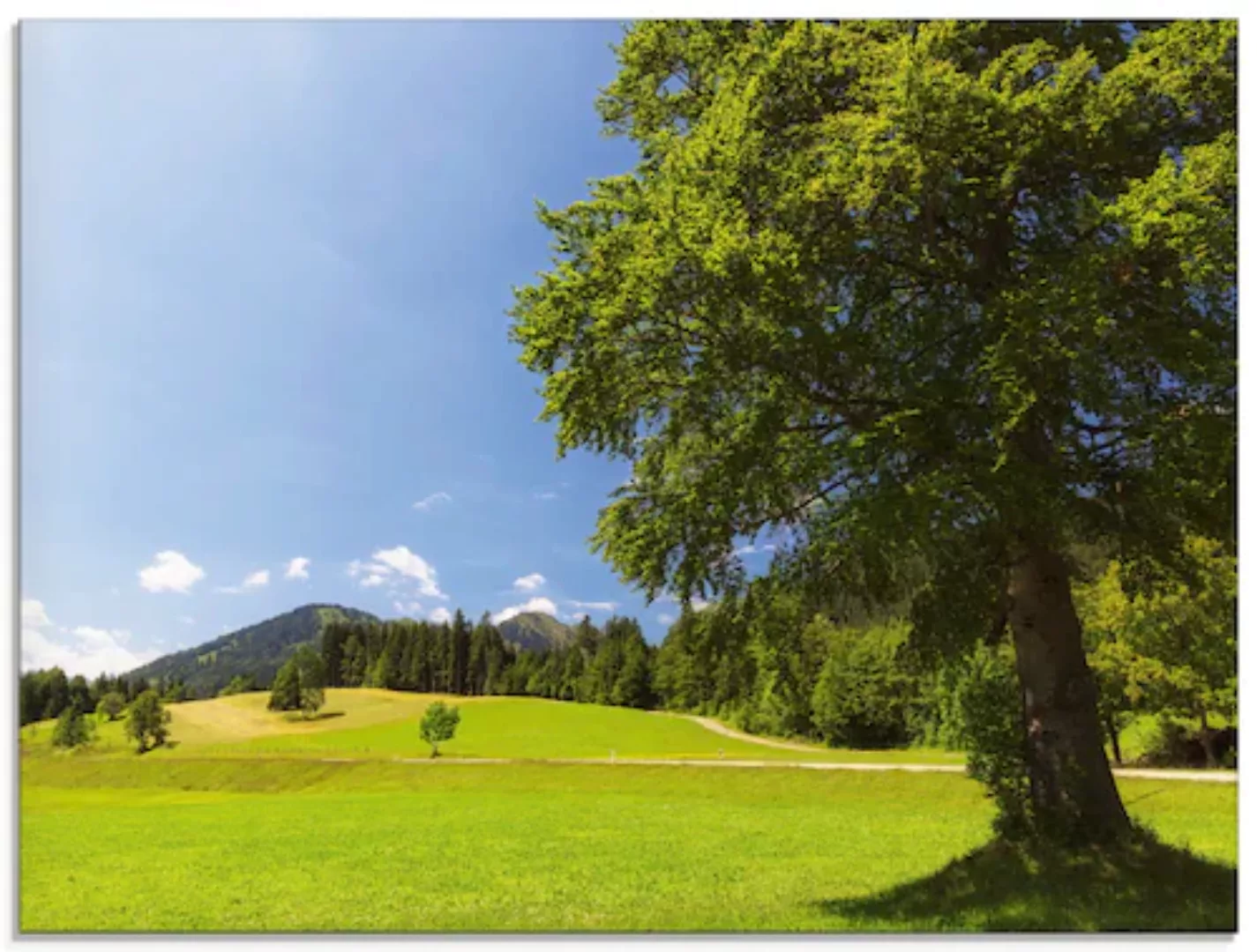 Artland Glasbild »Bayrische Landschaft«, Wiesen & Bäume, (1 St.), in versch günstig online kaufen