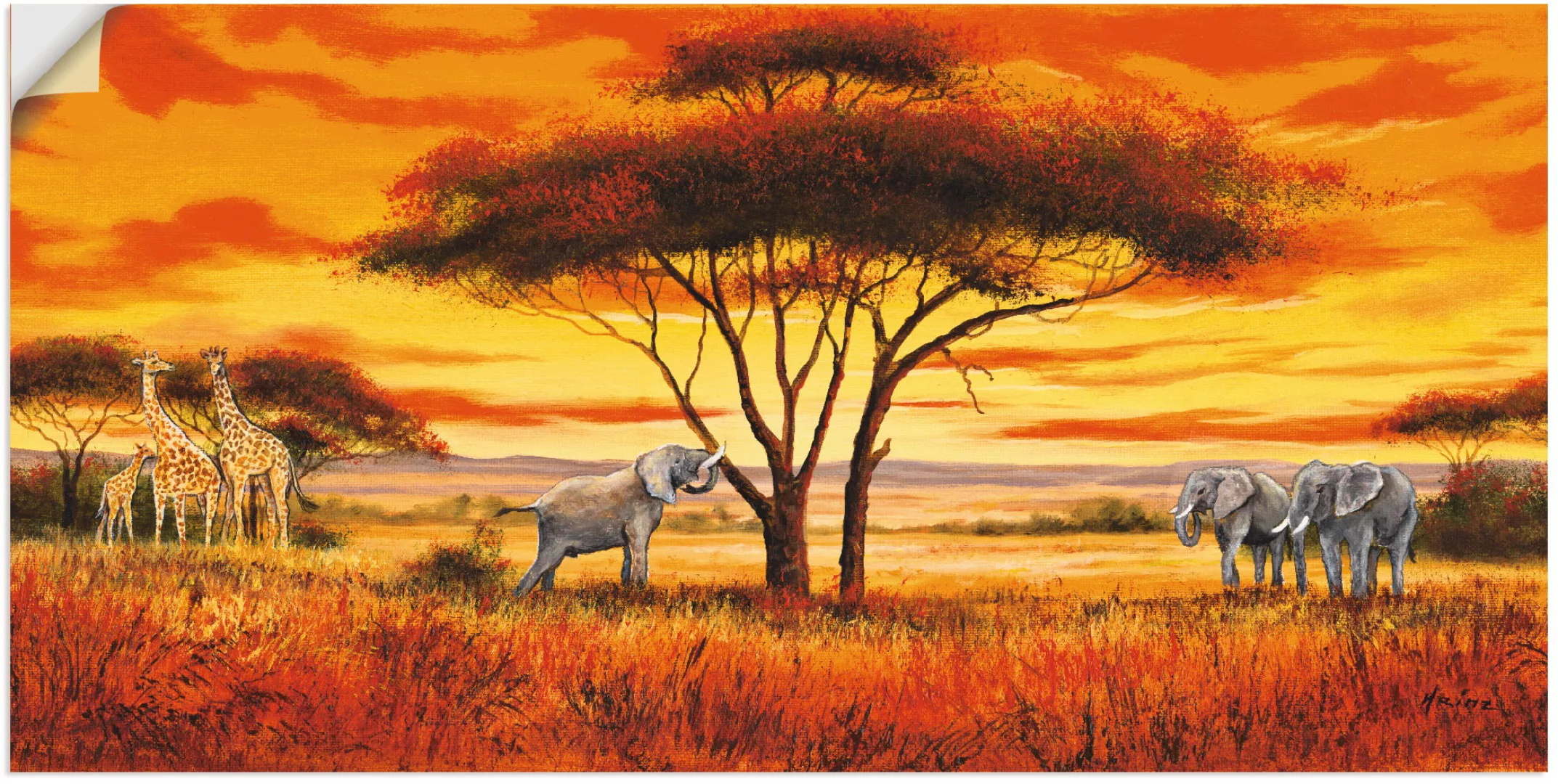 Artland Wandbild "Afrikanische Landschaft II", Afrika, (1 St.), als Alubild günstig online kaufen