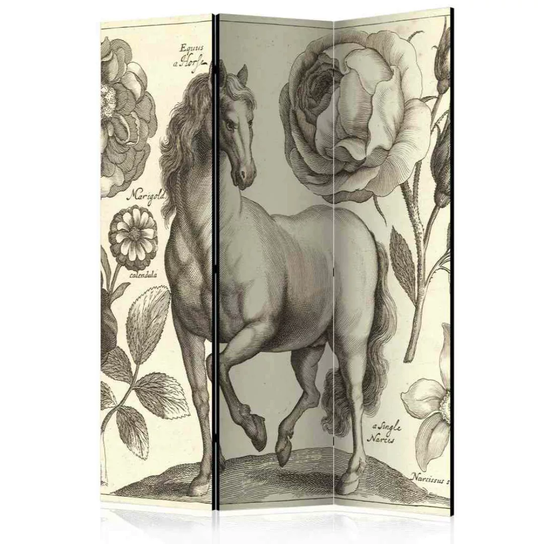 Vintage Paravent mit barockem Pferde Motiv 3-teilig günstig online kaufen