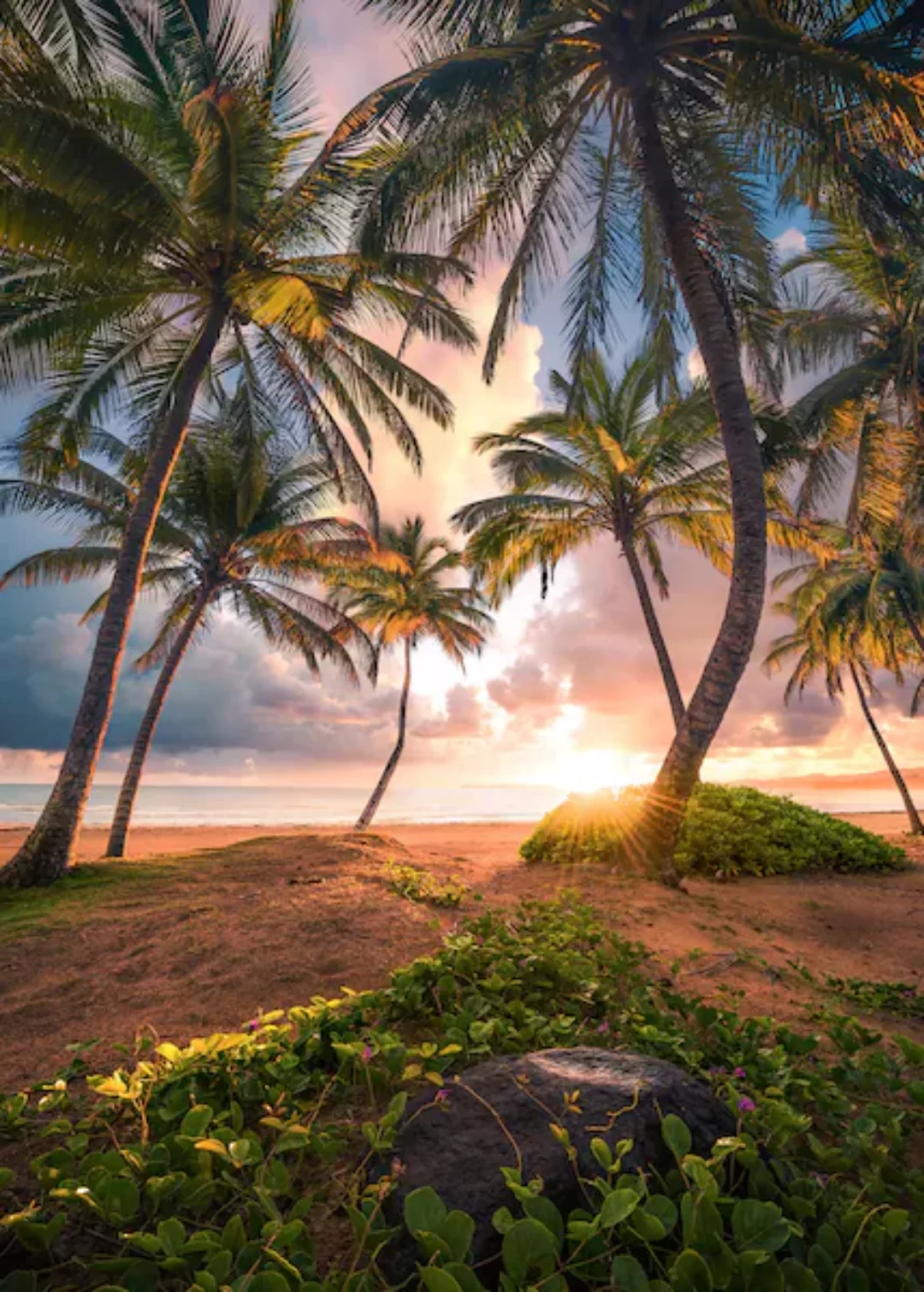 KOMAR Vlies Fototapete - Vertical Paradise - Größe 200 x 280 cm mehrfarbig günstig online kaufen