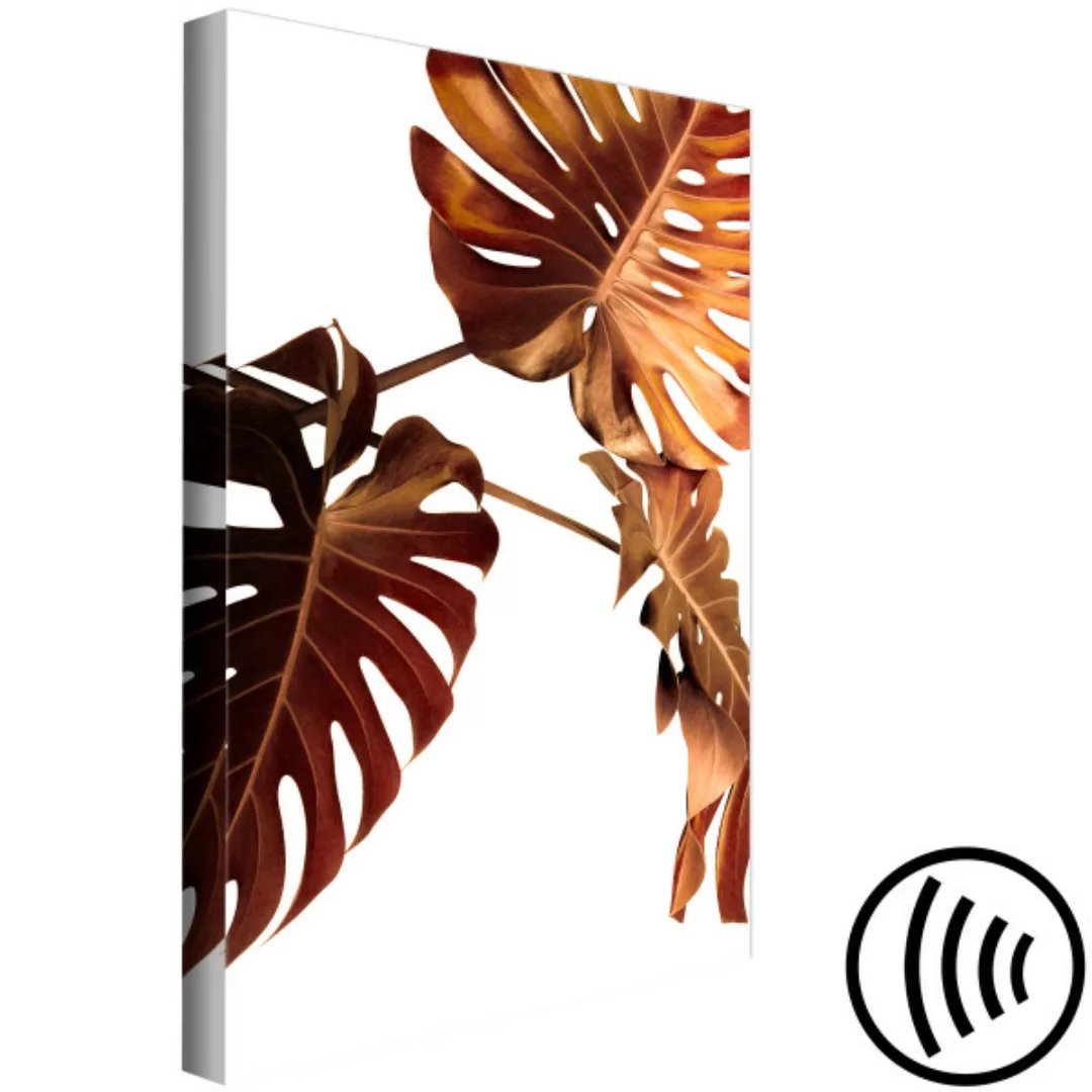 Bild auf Leinwand Monstera-Blätter – botanische Komposition mit drei golden günstig online kaufen