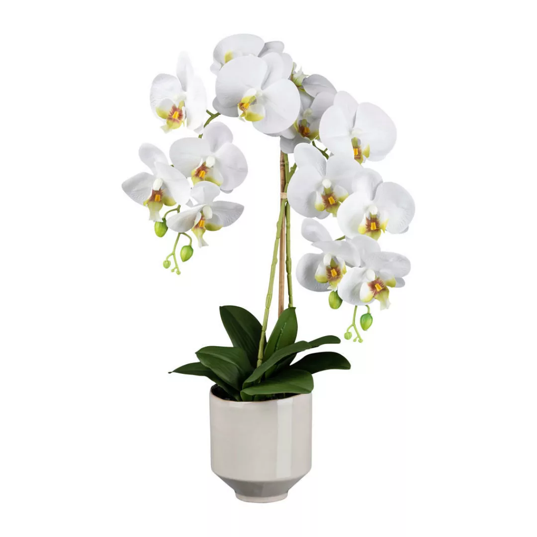 Kunstpflanze Phalaenopsis weiß Kunststoff B/H/L: ca. 19x59x19 cm günstig online kaufen