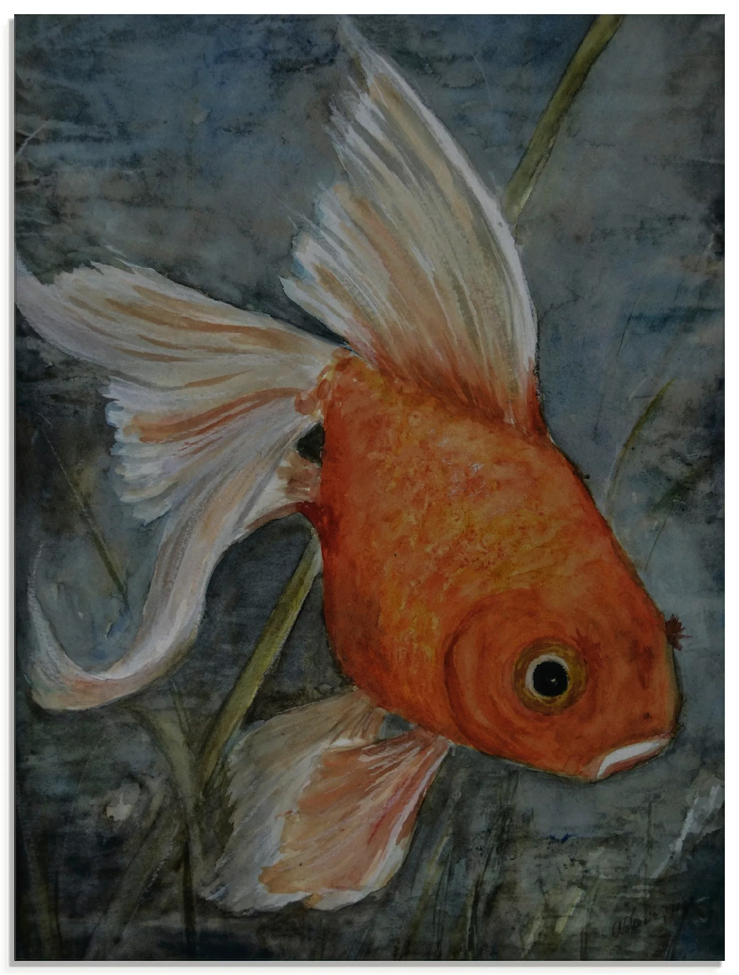 Artland Glasbild »Feng Shui - Goldfisch«, Wassertiere, (1 St.) günstig online kaufen
