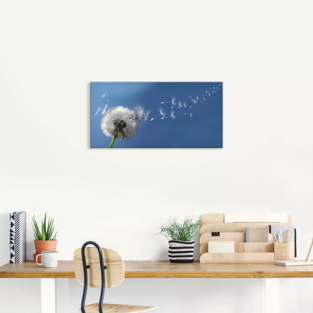Artland Wandbild "Pusteblume", Blumen, (1 St.), als Alubild, Outdoorbild, L günstig online kaufen