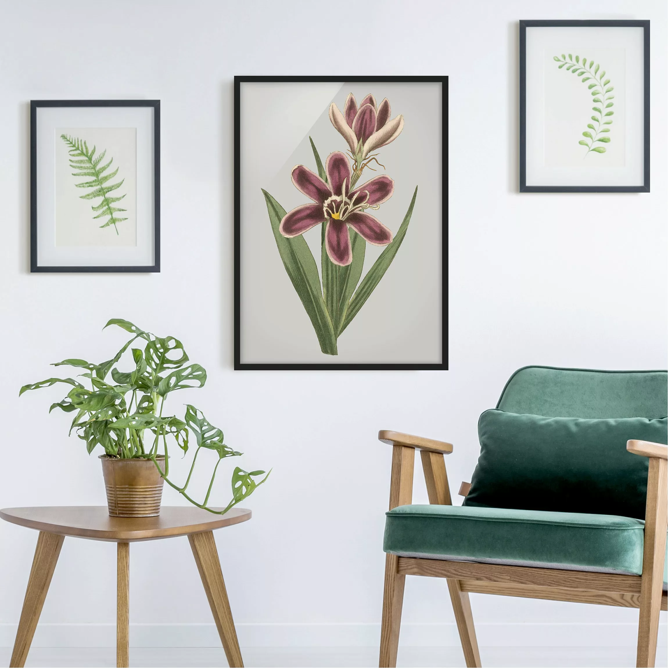 Bild mit Rahmen Blumen - Hochformat Florale Schmuckstücke II günstig online kaufen