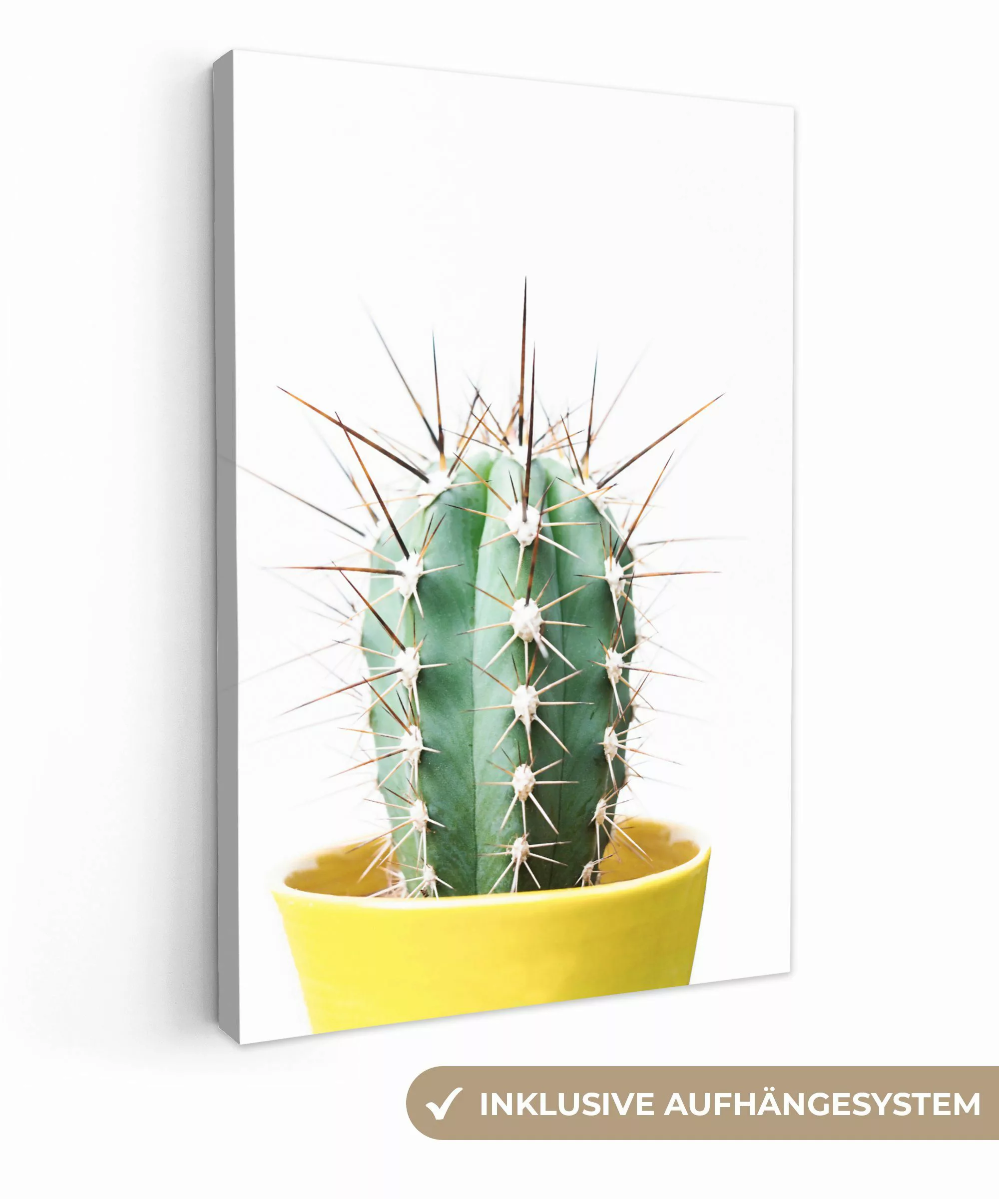 OneMillionCanvasses® Leinwandbild Kaktus - Pflanzen - günstig online kaufen