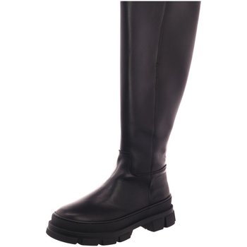 Palpa  Stiefel Stiefel F-8481 BLACK günstig online kaufen