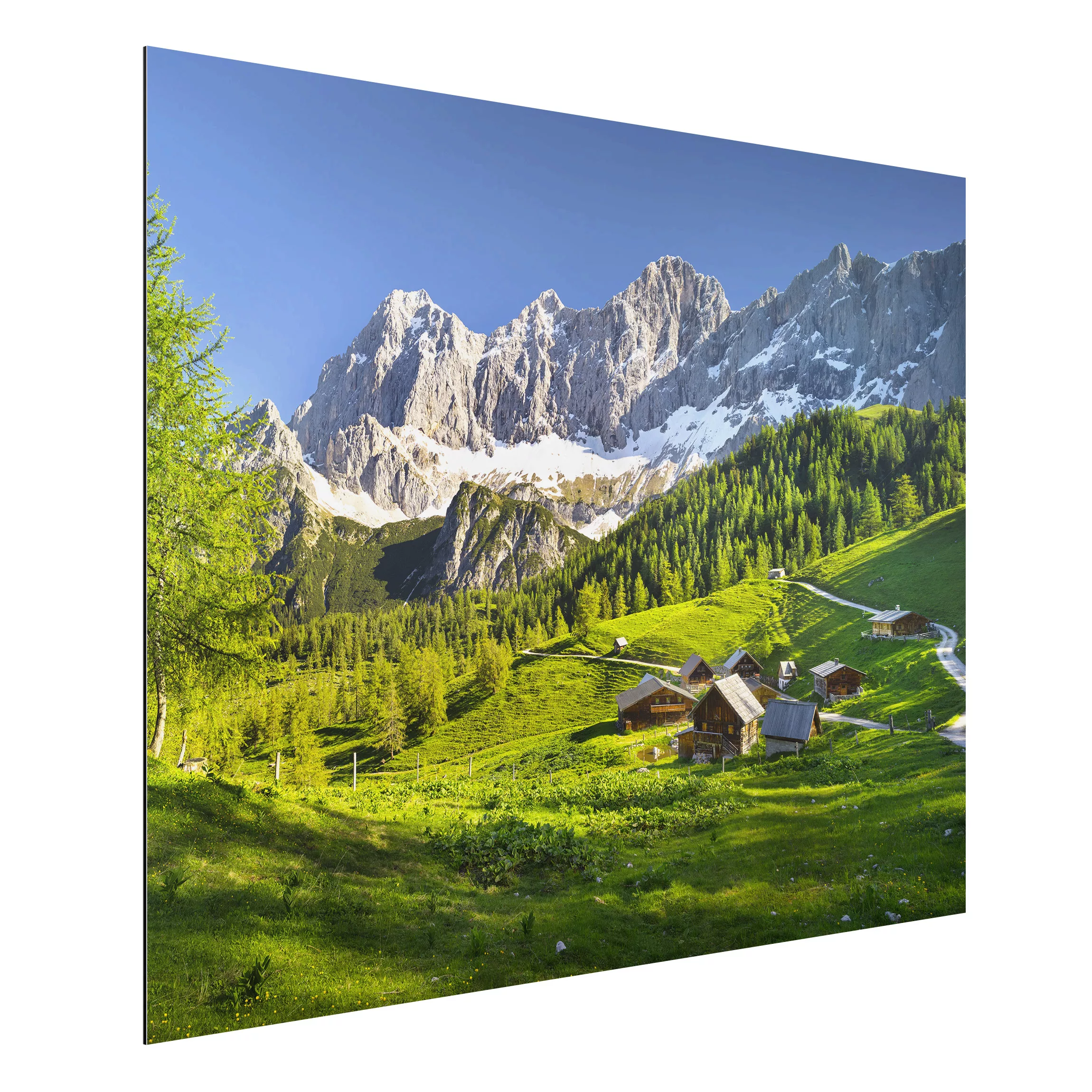 Alu-Dibond Bild Natur & Landschaft - Querformat 4:3 Steiermark Almwiese günstig online kaufen