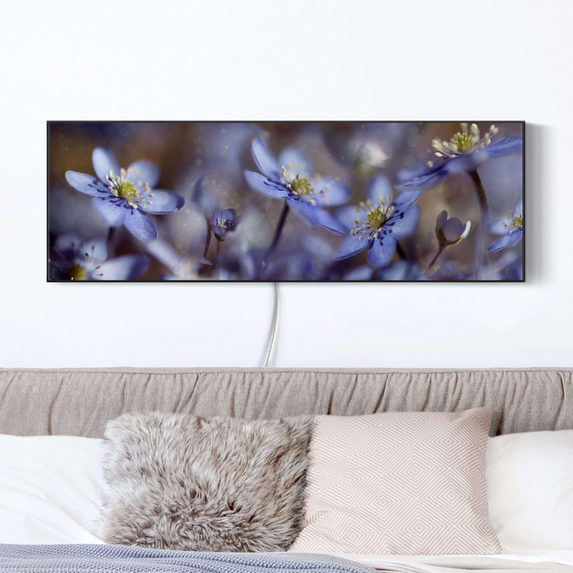 LED-Wechselbild Anemonen in Blau günstig online kaufen